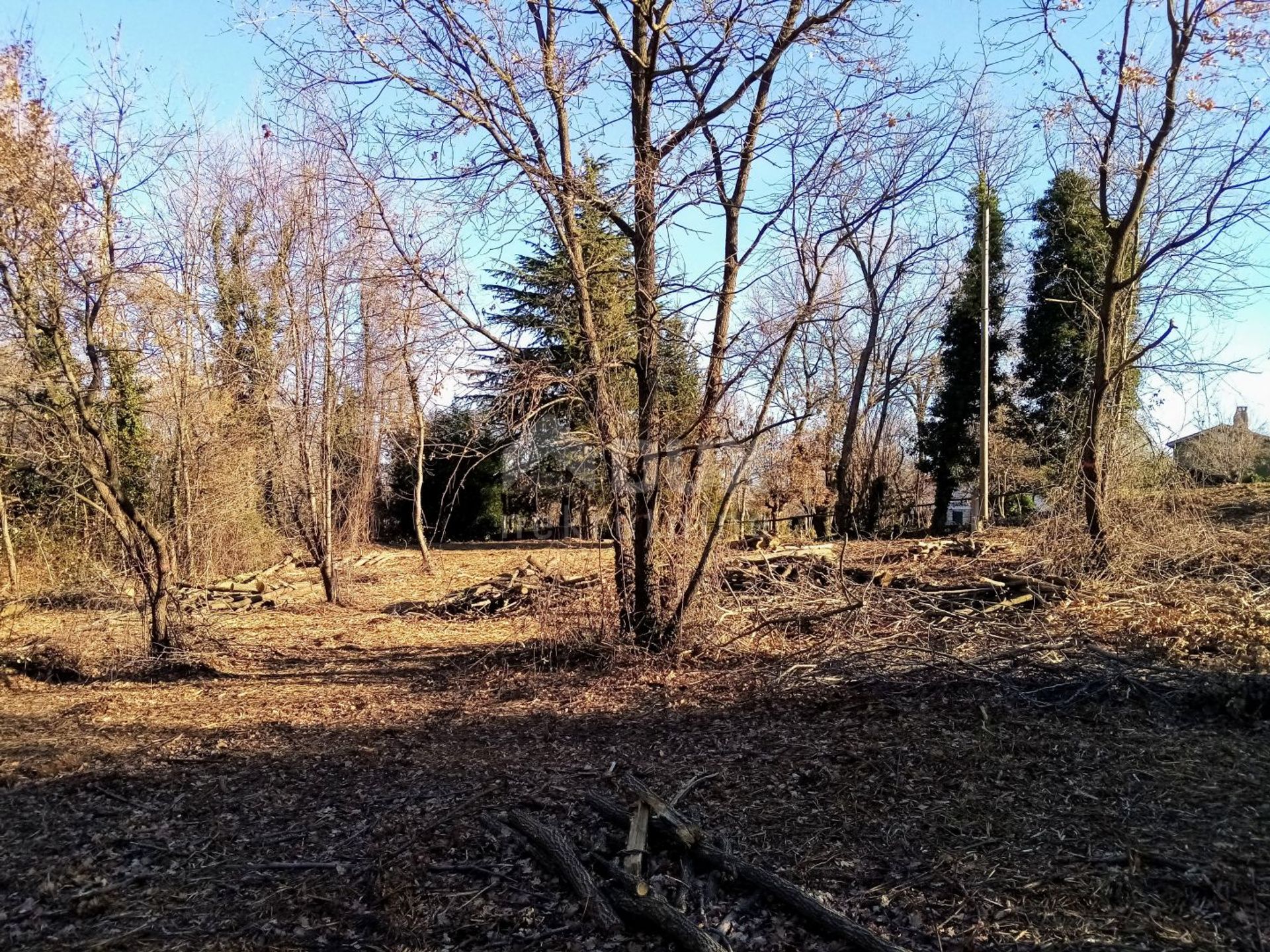 Земля в Барбан, Істарська жупанія 10871625