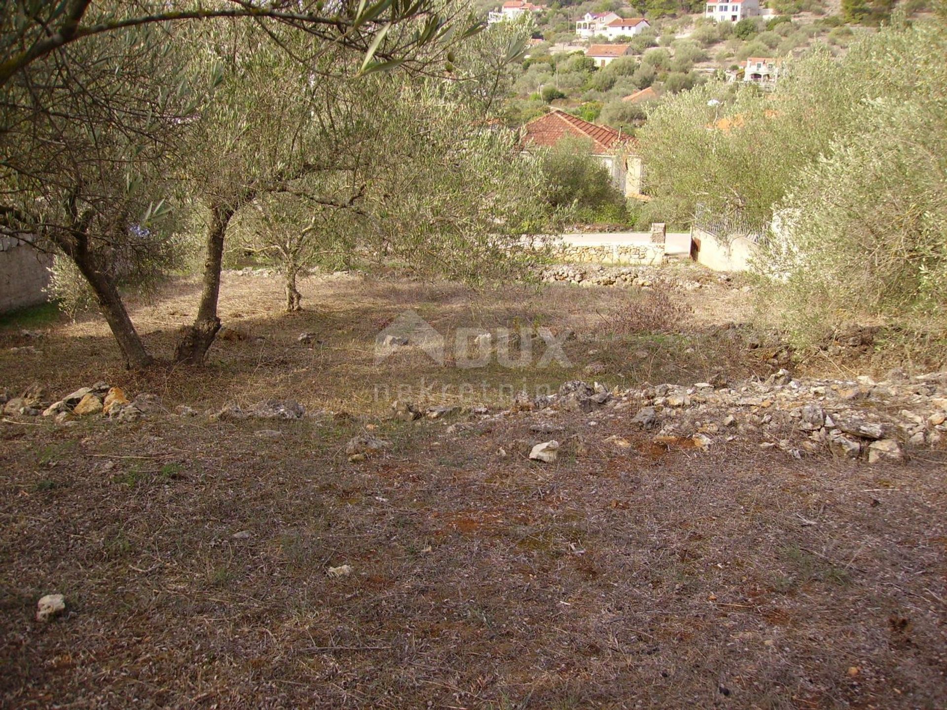 Terre dans Korčula, Dubrovnik-Neretva County 10871735