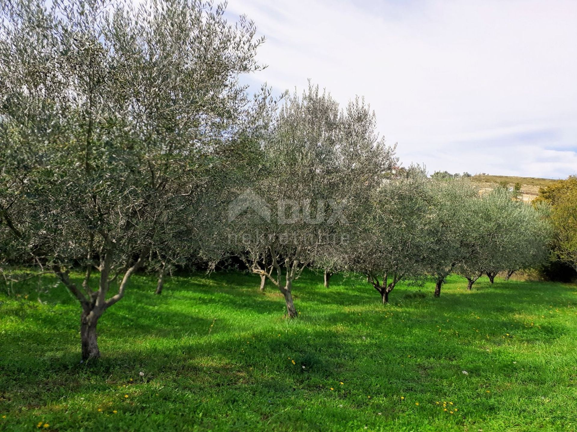 Земельные участки в Vižinada, Istria County 10871774