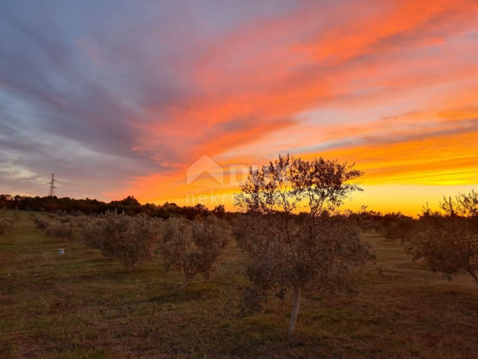 Wylądować w Vodnjan, Istria County 10871836