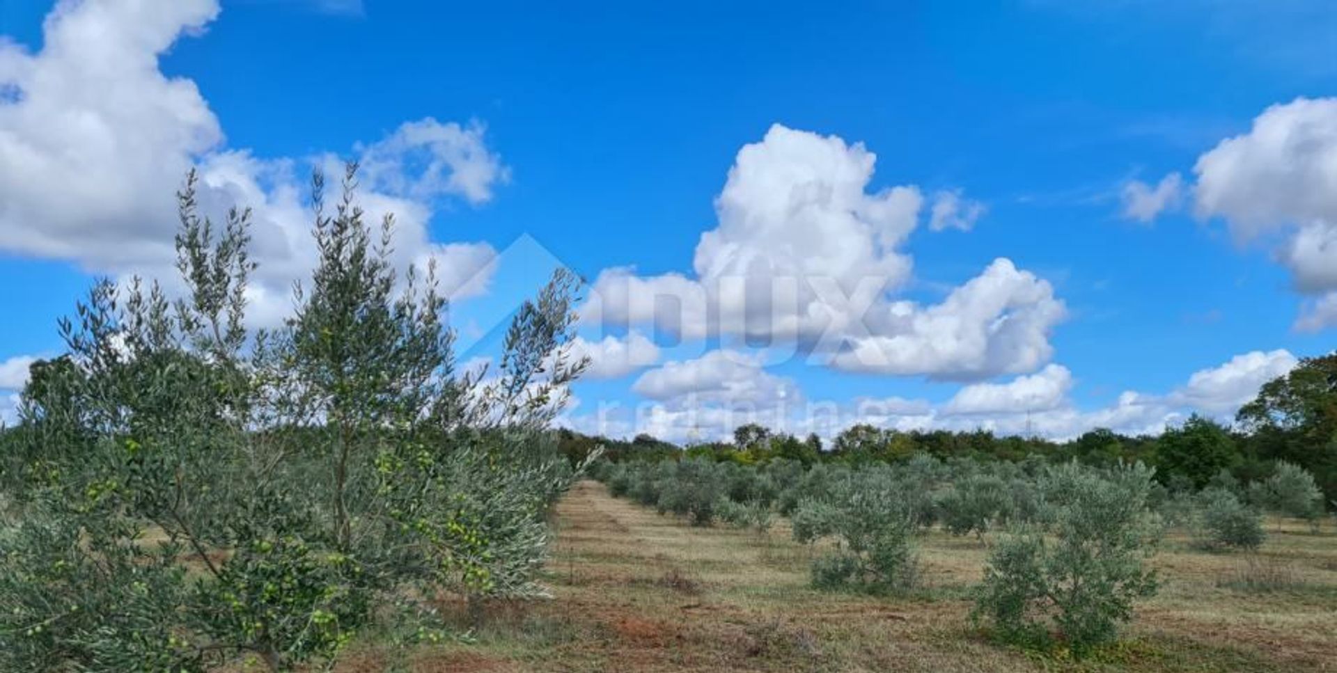 ארץ ב Vodnjan, Istria County 10871836