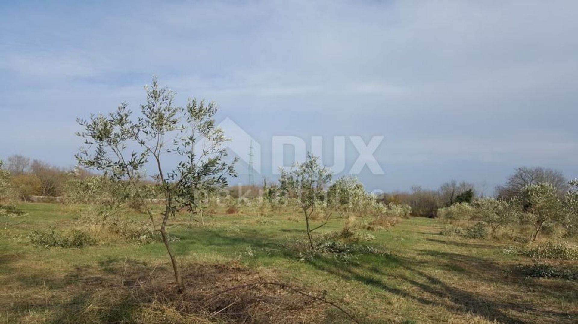 ארץ ב Vodnjan, Istria County 10871836