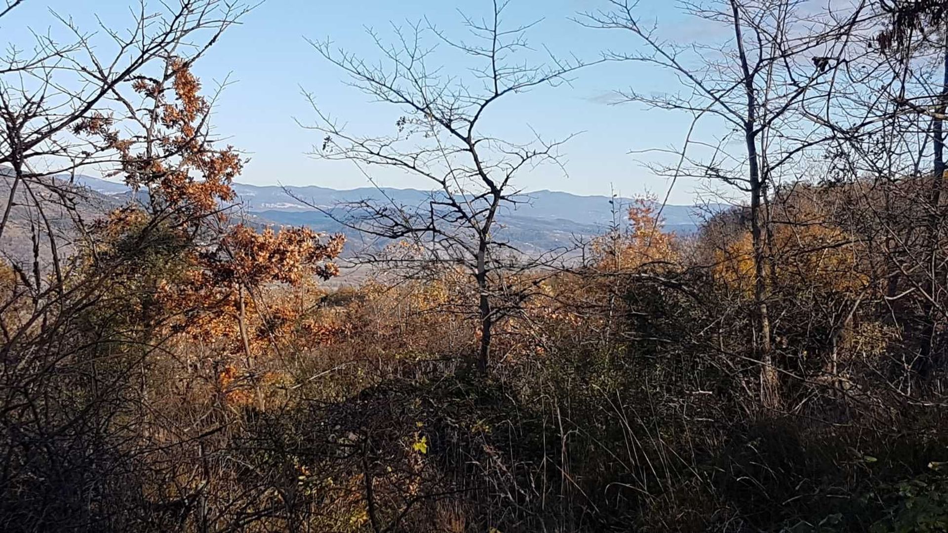 Tierra en Vižinada, Istria County 10871893