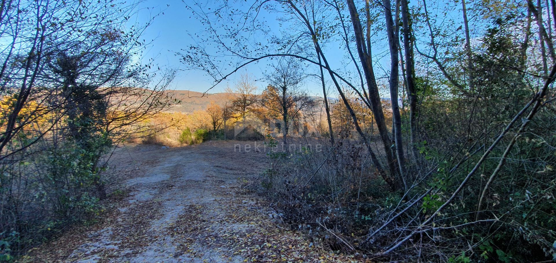 Tierra en Vižinada, Istria County 10871893