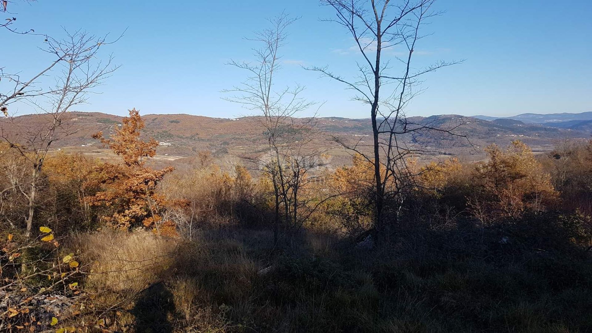 Tanah dalam Vižinada, Istria County 10871893