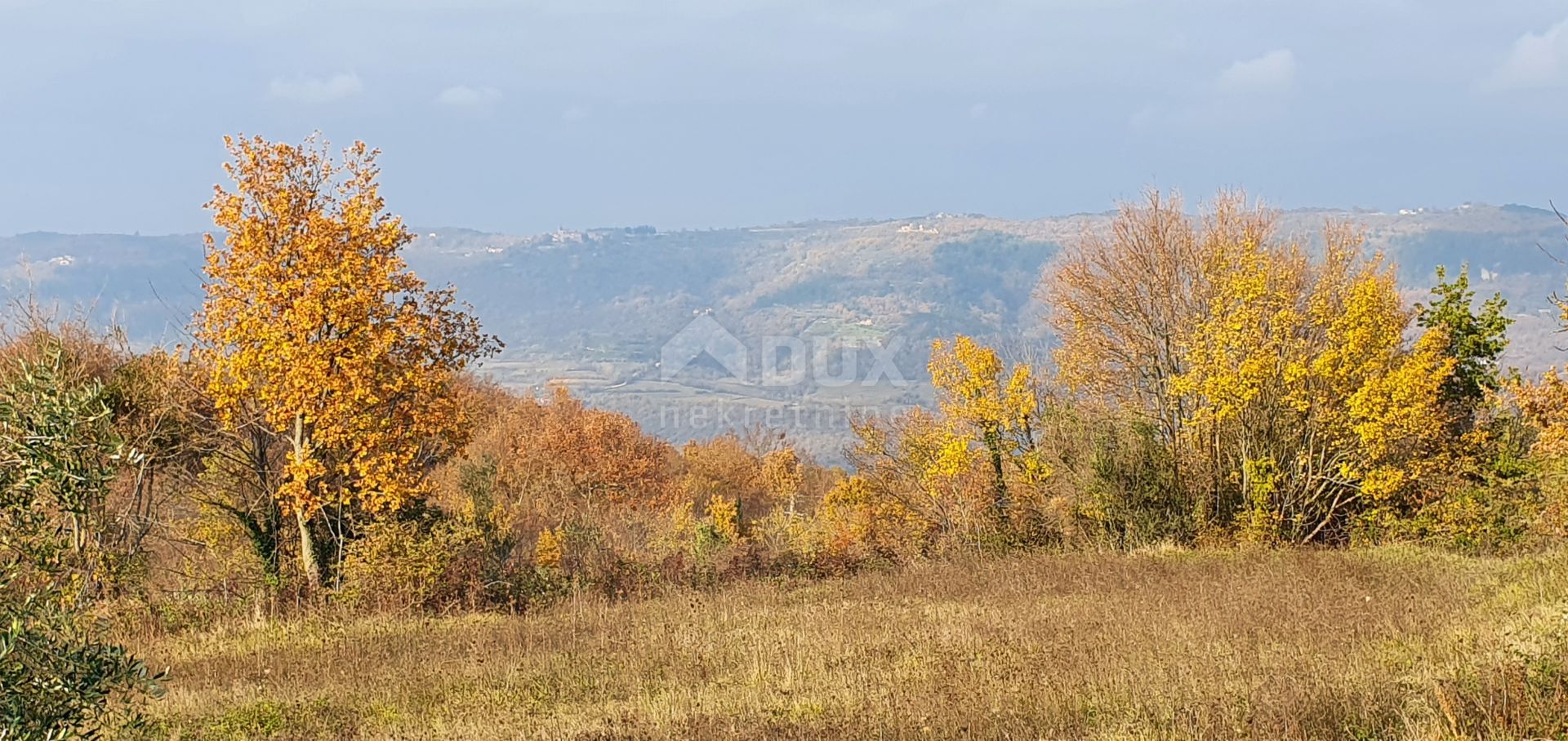 Tanah di Vižinada, Istria County 10871893