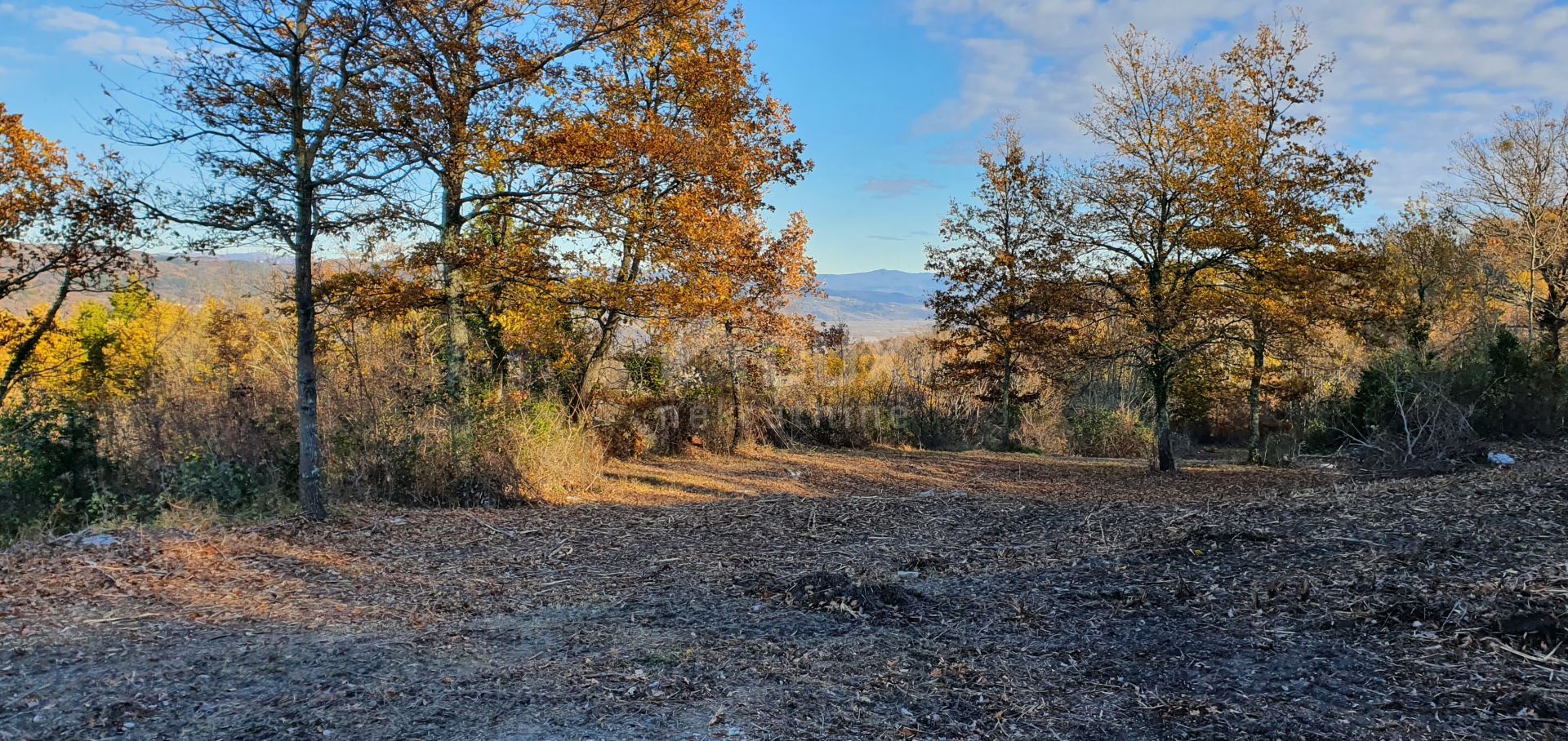 Tierra en Vižinada, Istria County 10871893