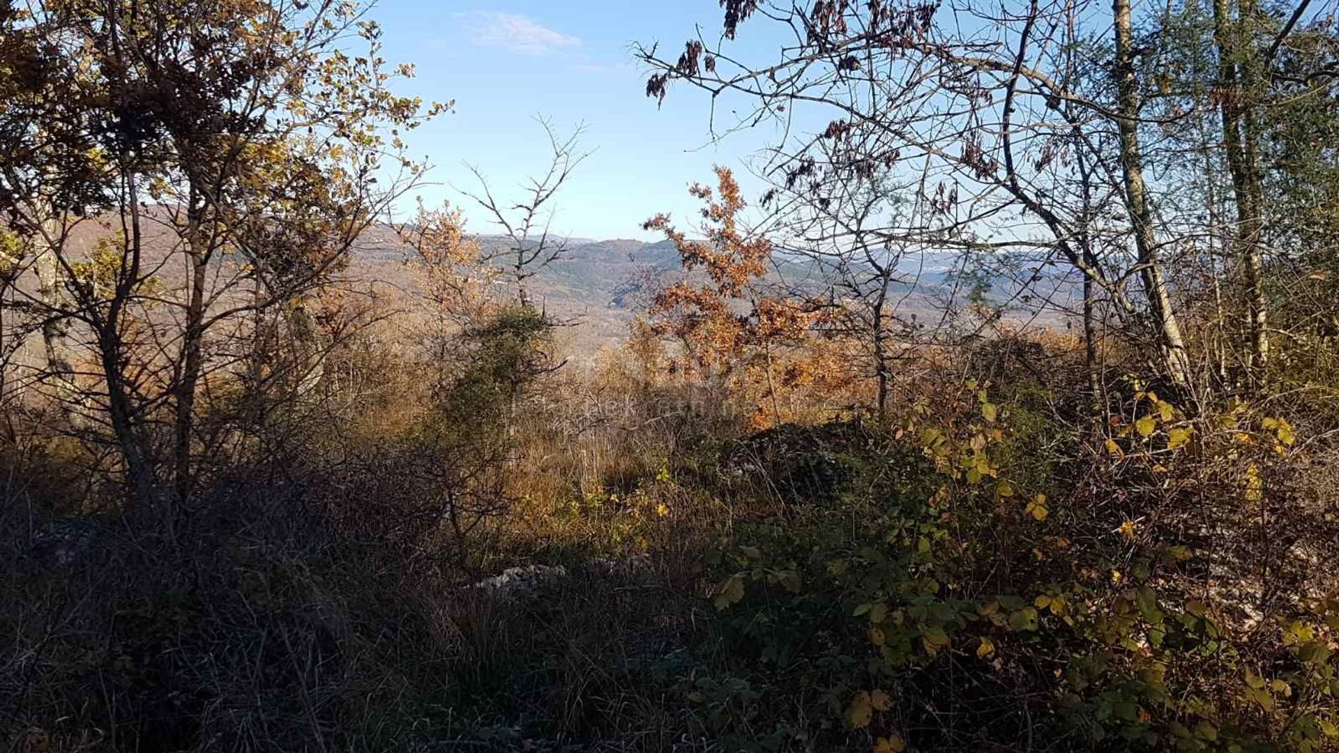 Tierra en Vižinada, Istria County 10871893