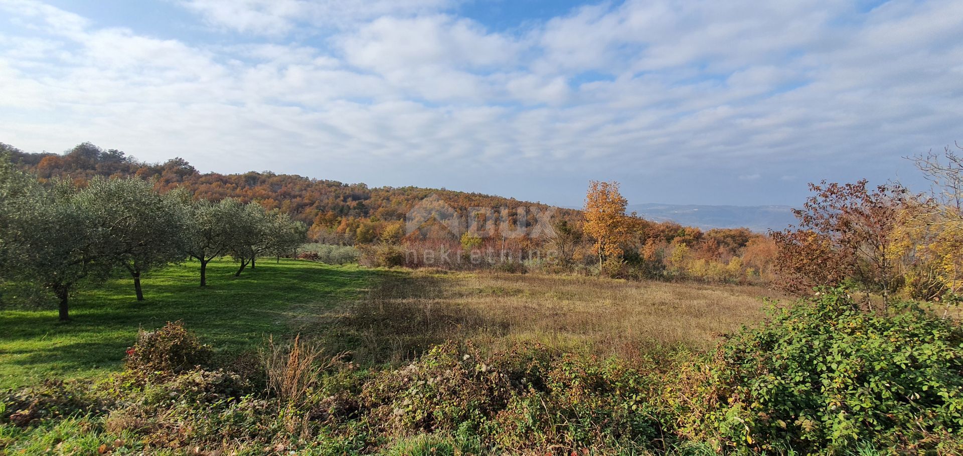 Tierra en Vižinada, Istria County 10871893