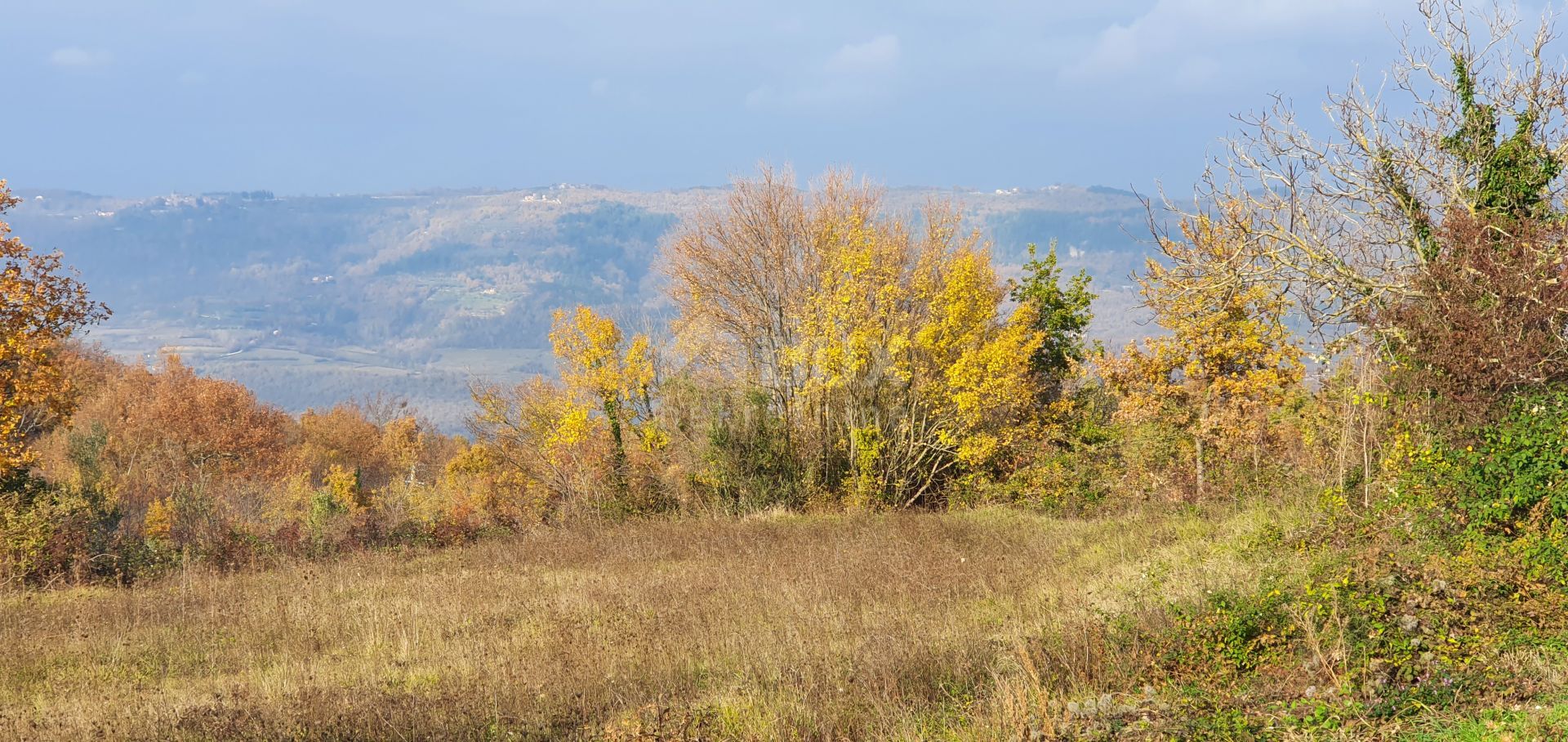 Tanah dalam Vižinada, Istria County 10871893