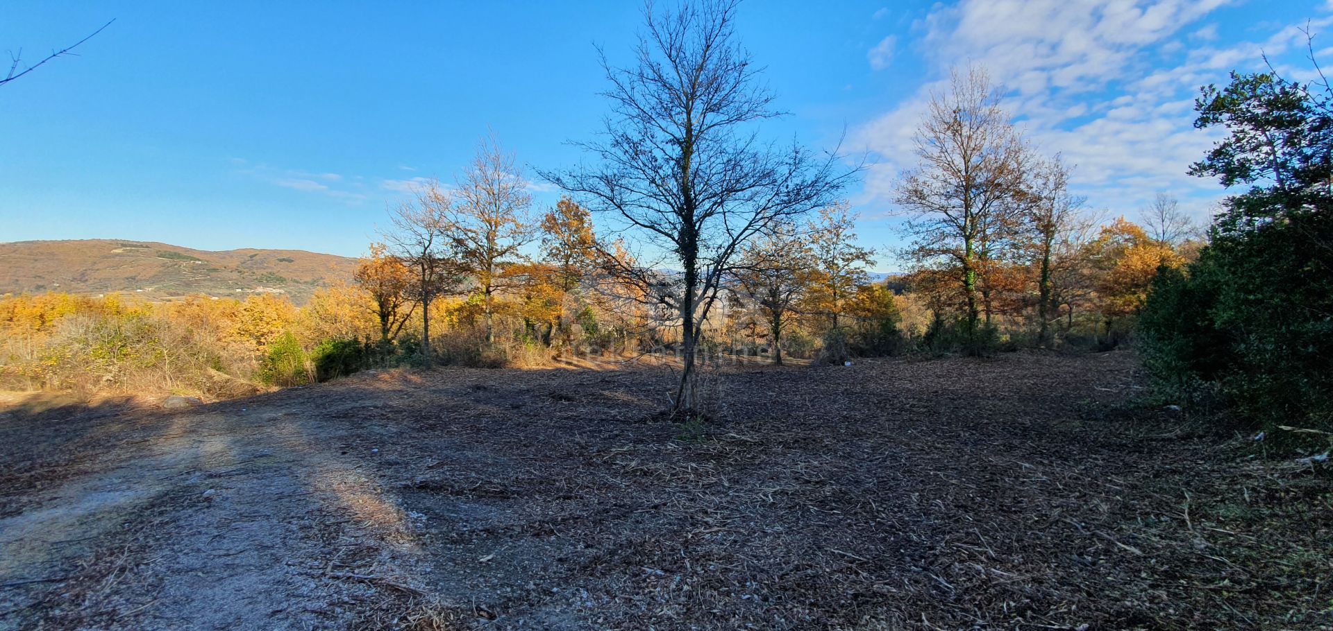 Land in Vizinada, Istarska Zupanija 10871893