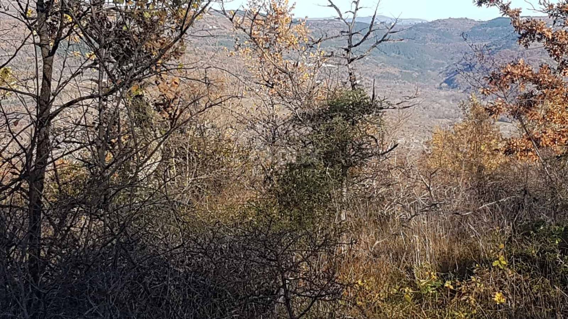 Tierra en Vižinada, Istria County 10871893