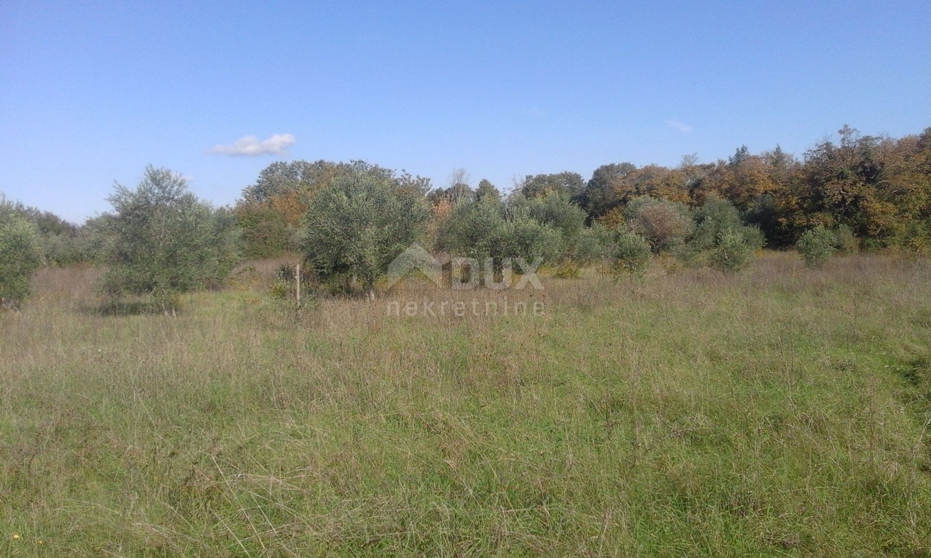 Land im Barban, Istarska Zupanija 10872266