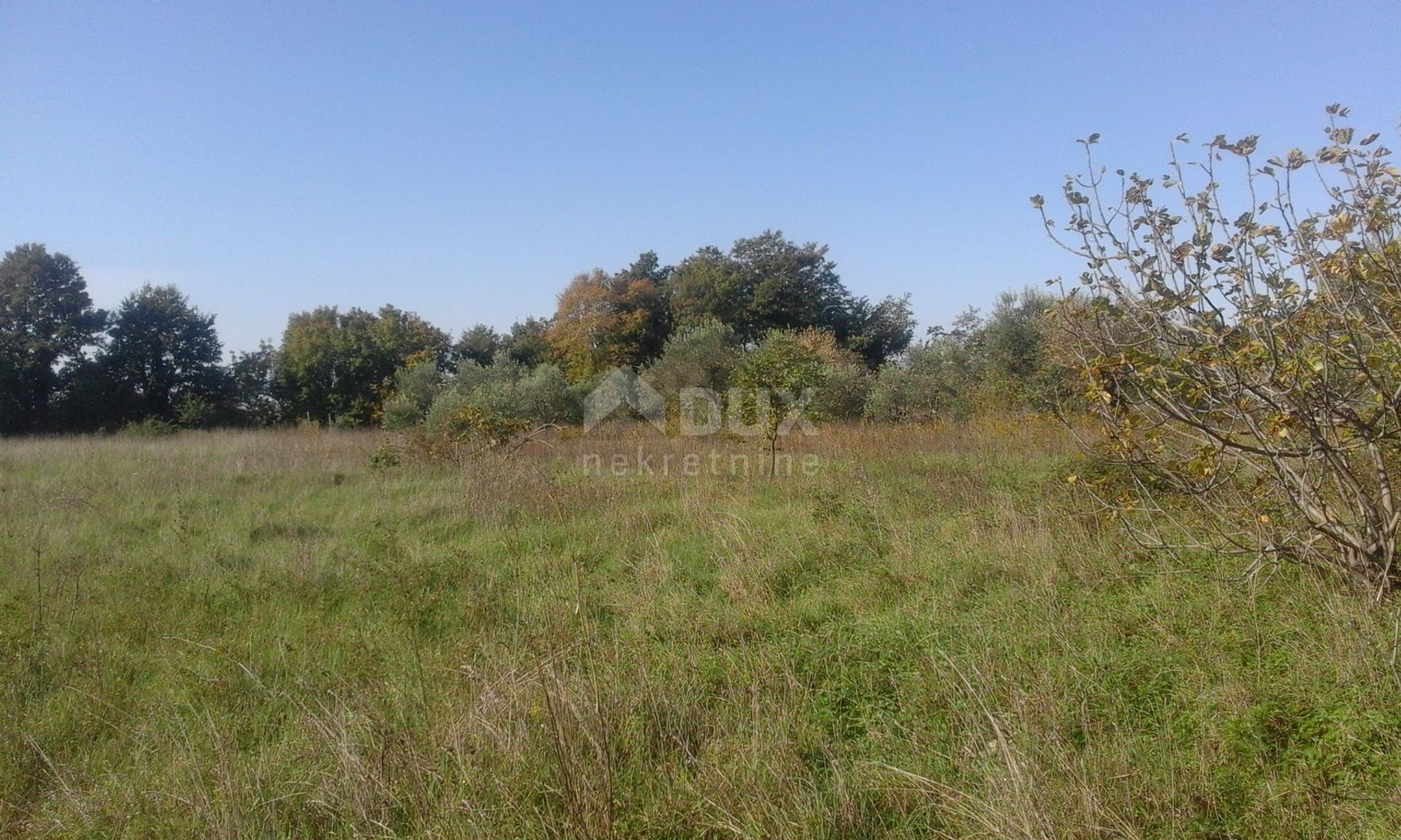 Land im Barban, Istarska Zupanija 10872266