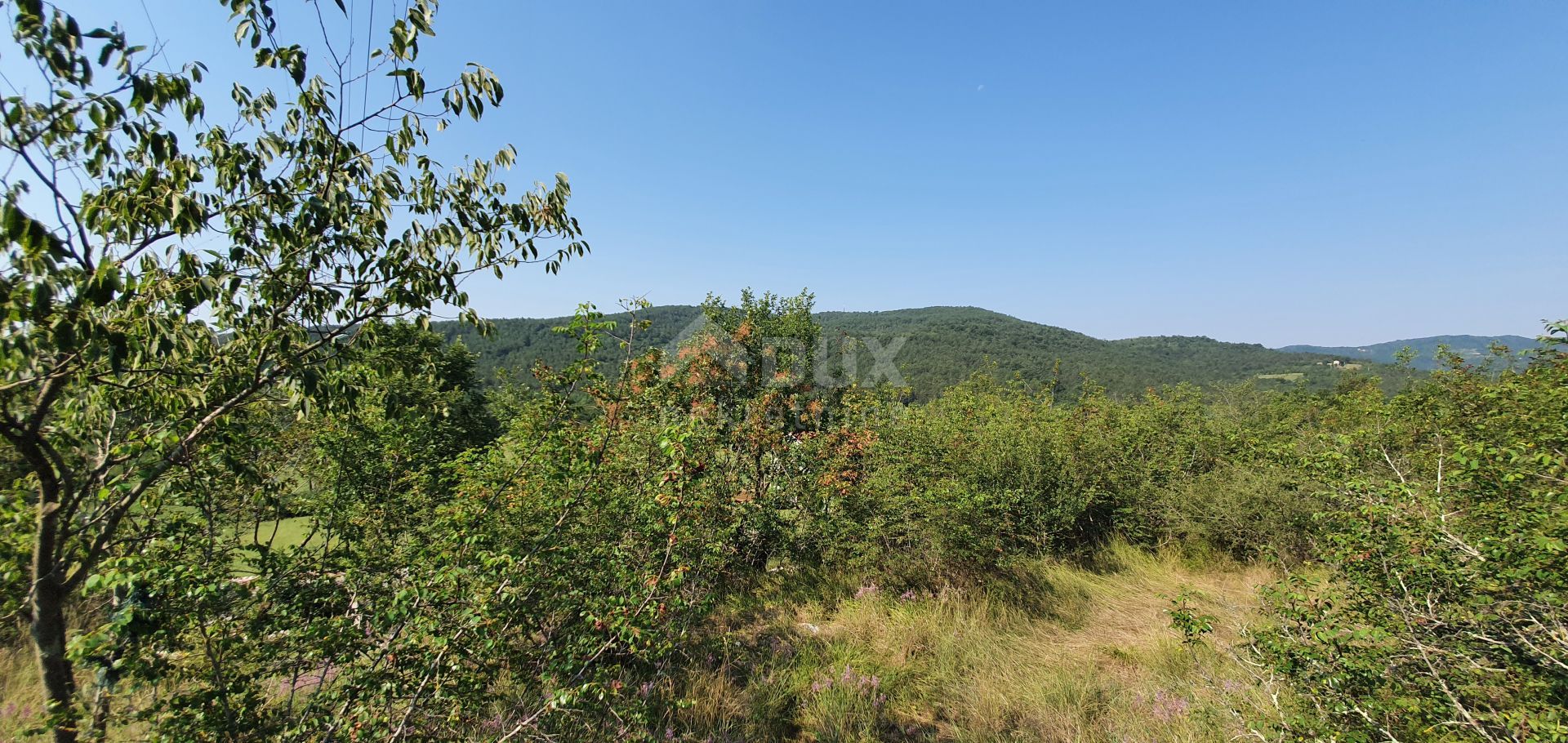 Tanah dalam Šušnjevica, Istria County 10872542