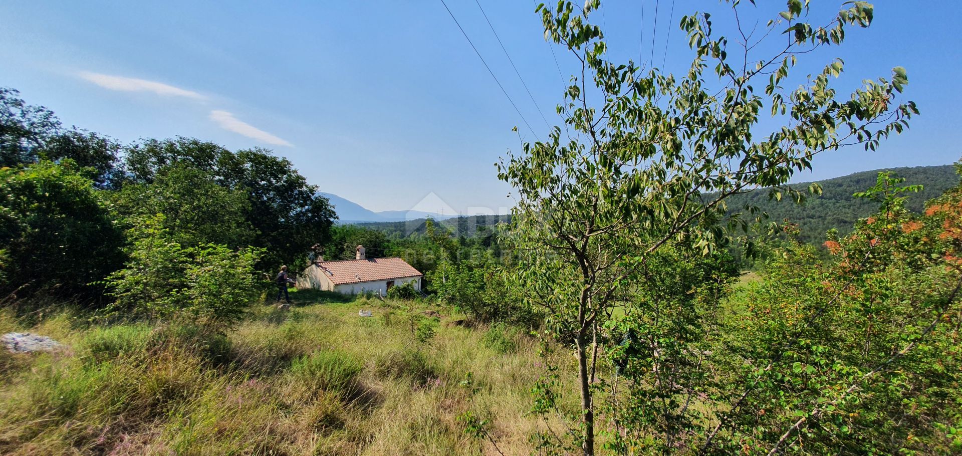 Land in Susnjevica, Istarska Zupanija 10872542