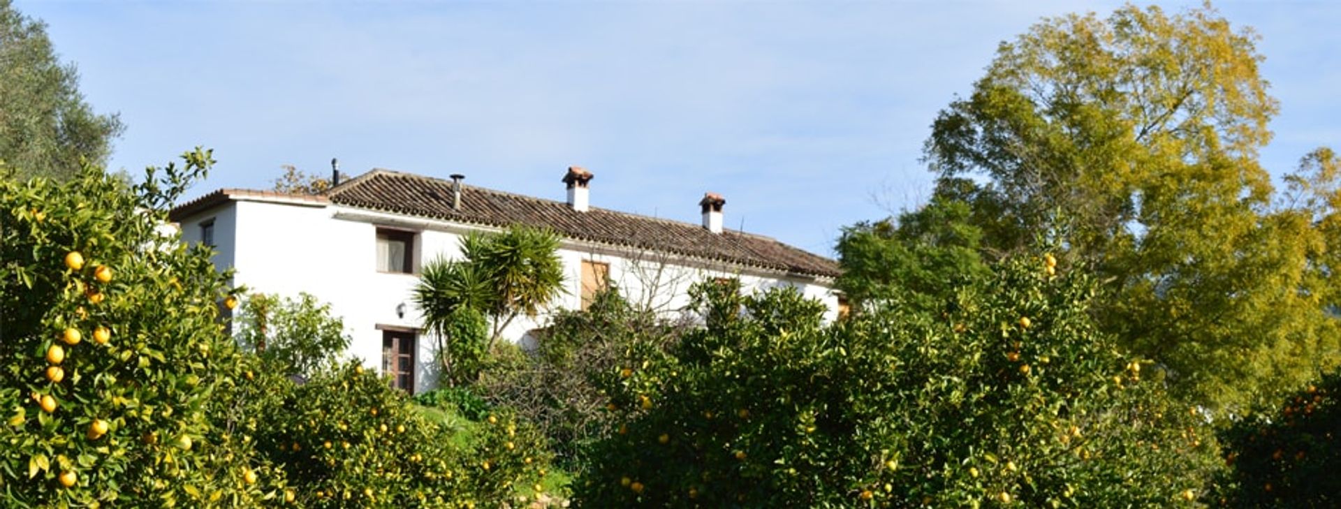 Perindustrian dalam Gaucín, Andalucía 10872689