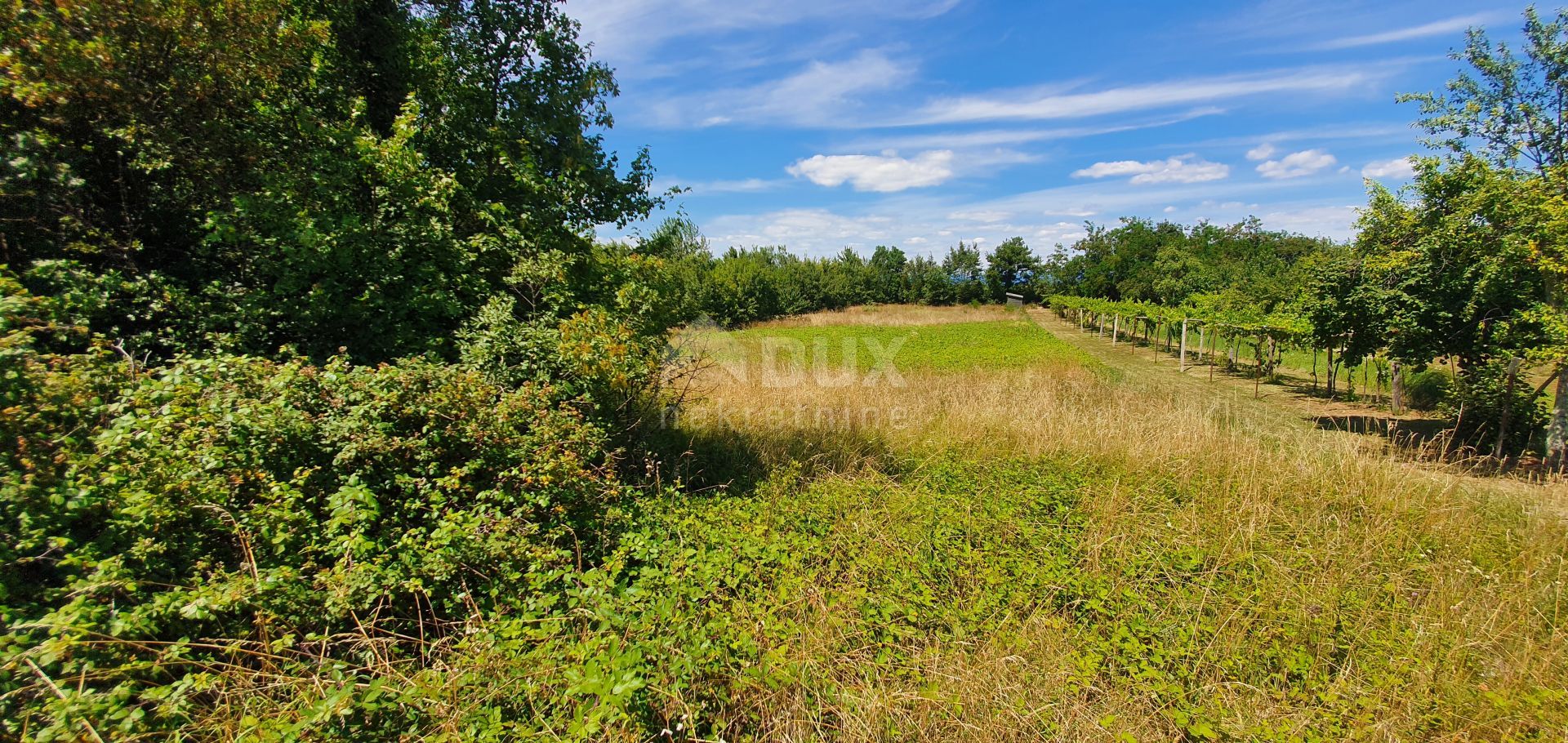 Land im Nedešćina, Zagreb County 10872701