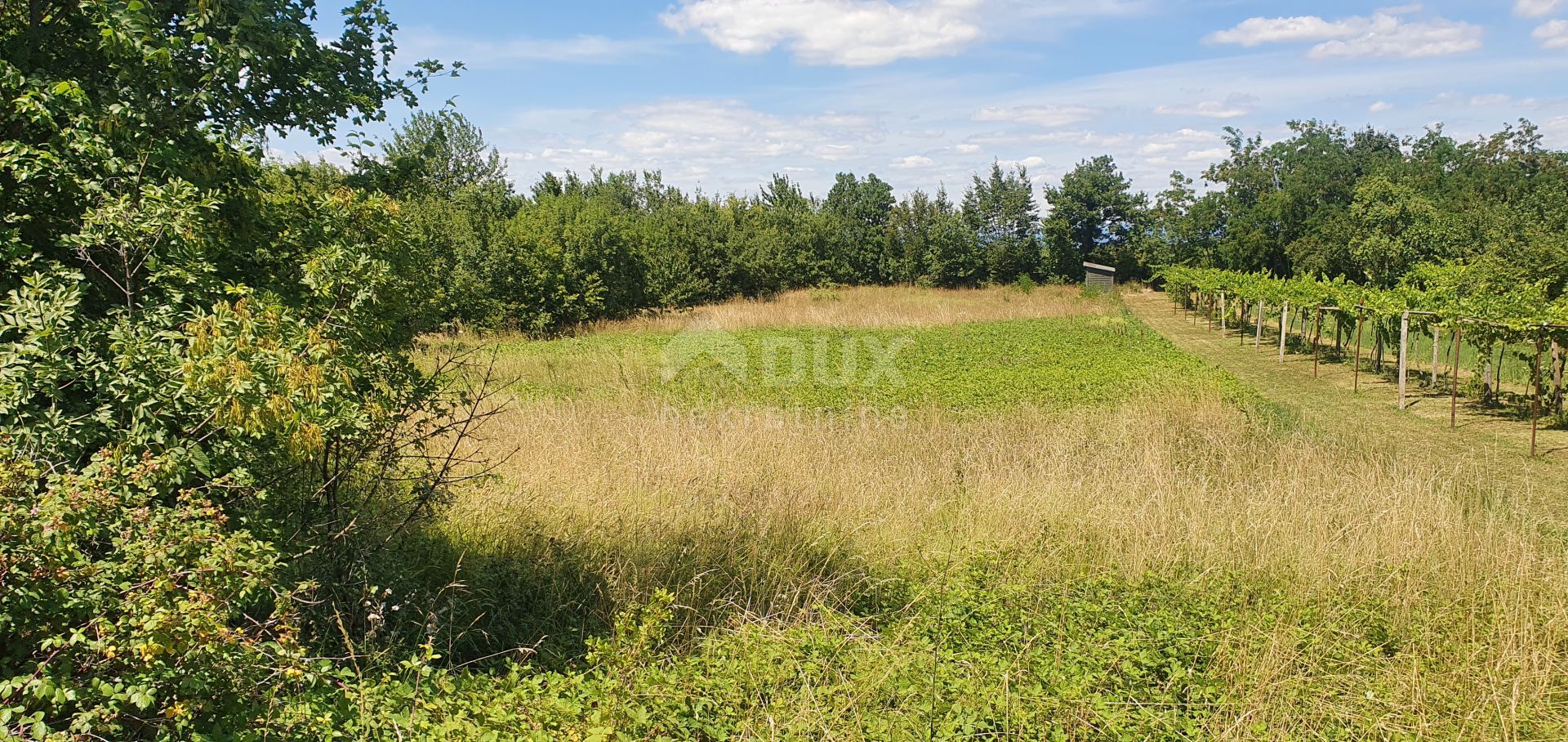 Land im Nedešćina, Zagreb County 10872701