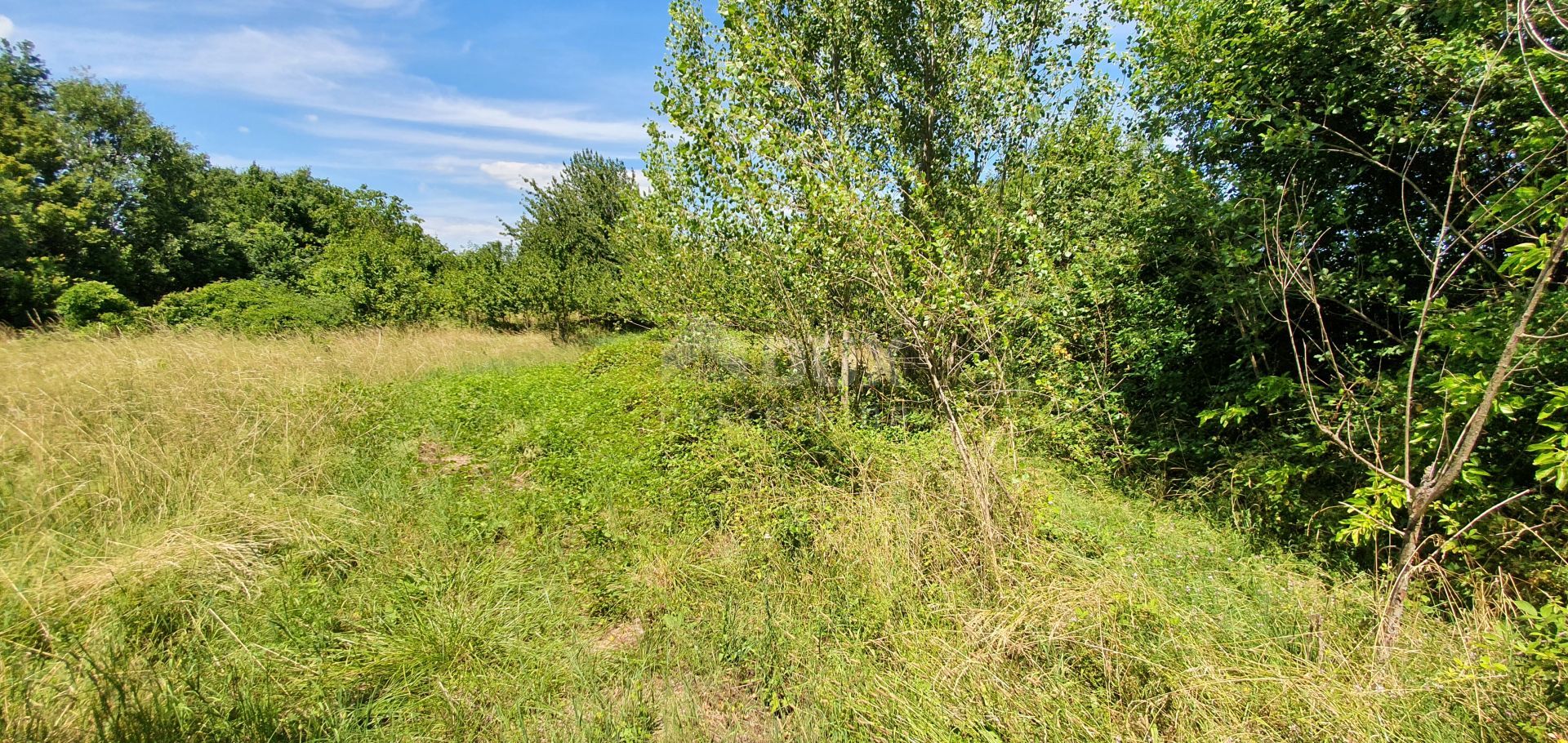 Terre dans Nedescina, Istarska Zupanija 10872701