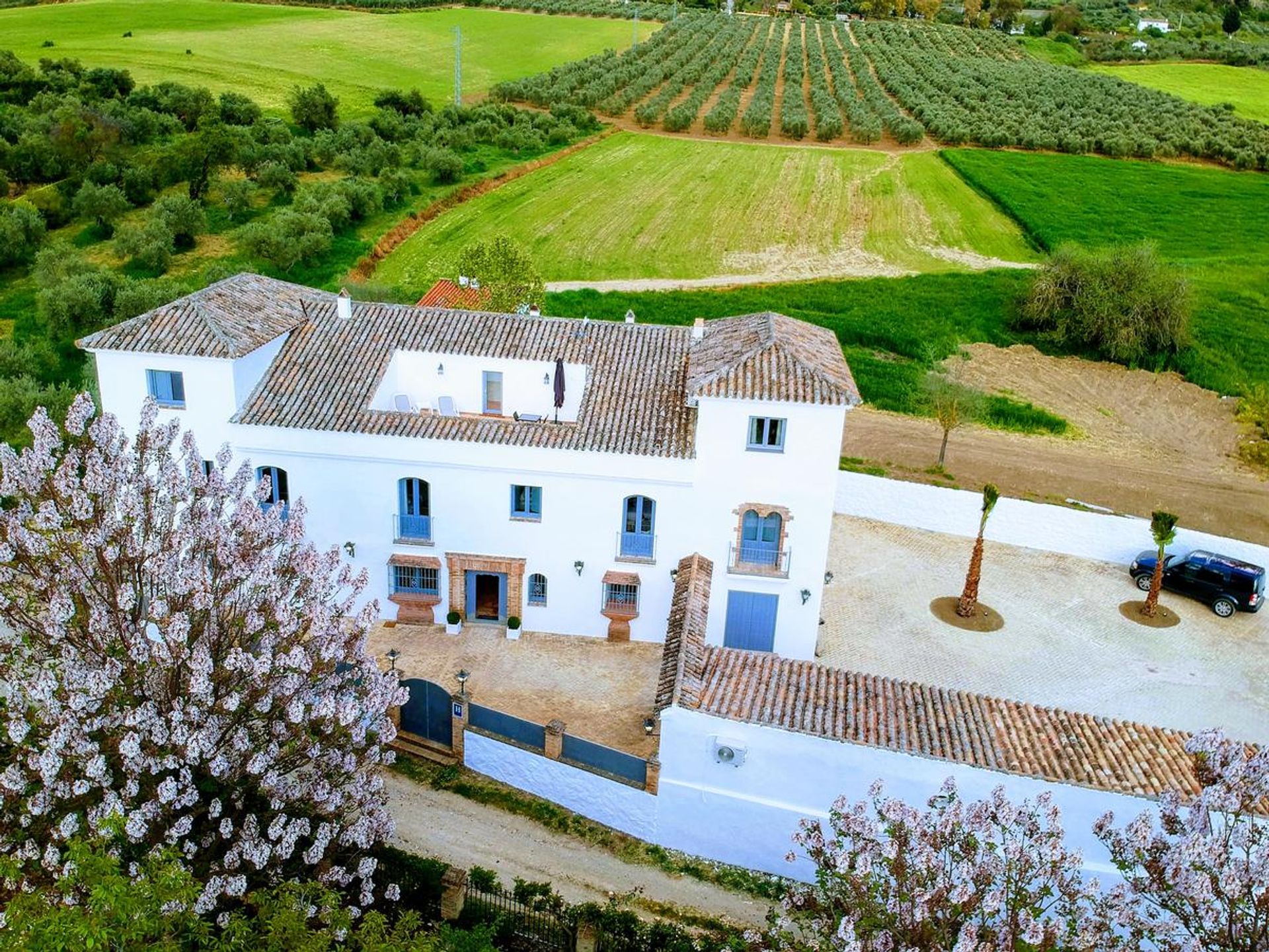 Perindustrian dalam Ronda, Andalucía 10872725