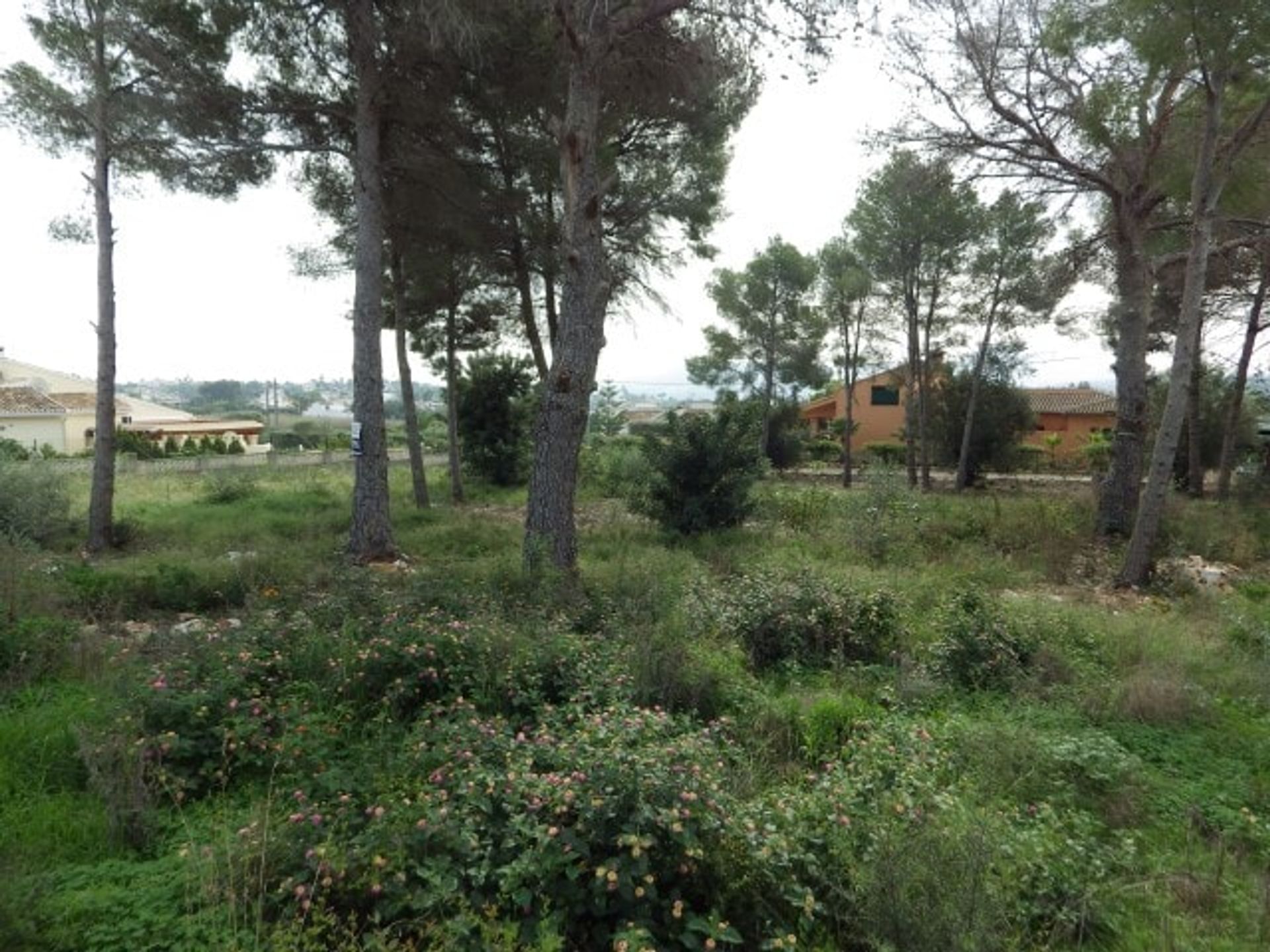 Land im Javea, Valencia 10872791