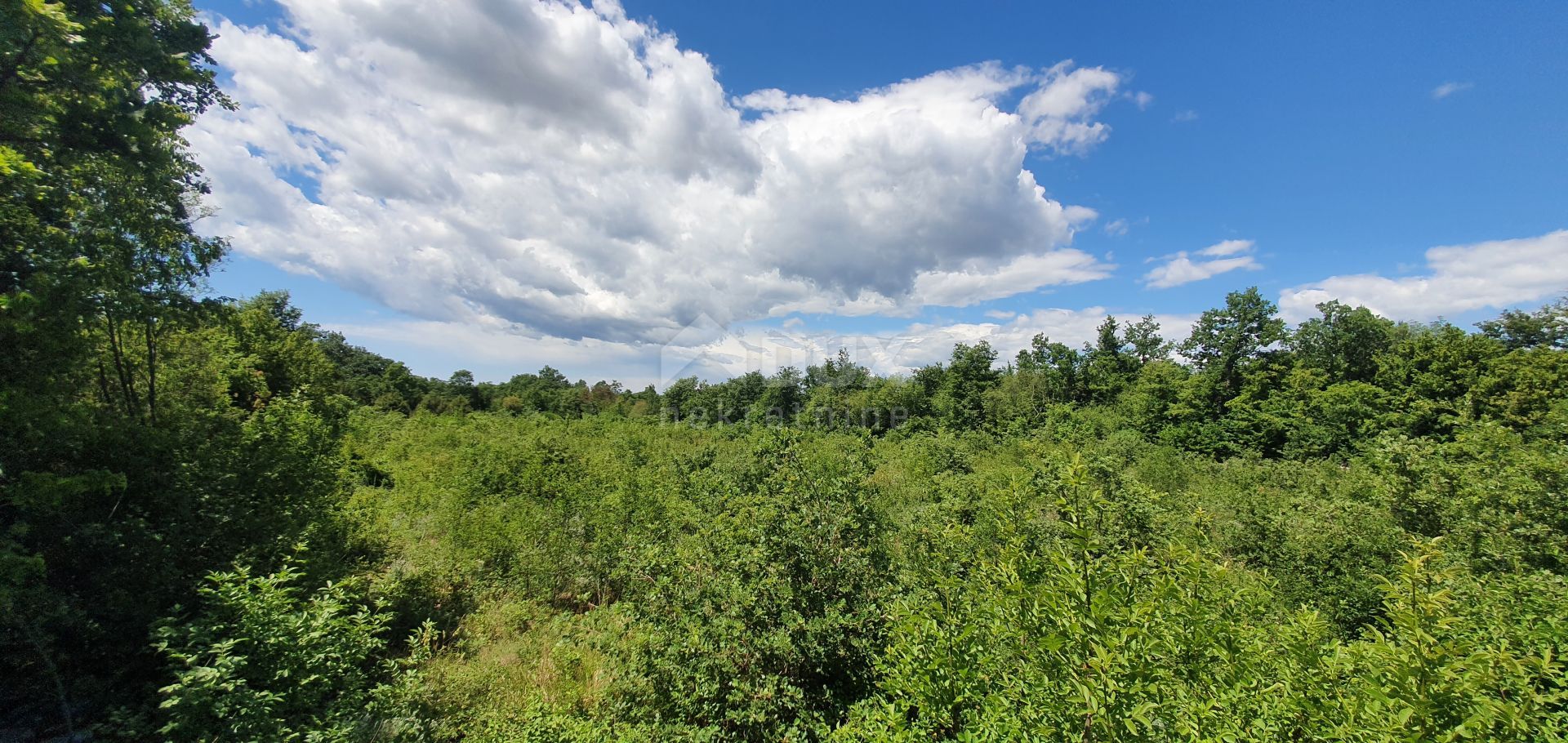 Land i Juršići, Istarska županija 10872955