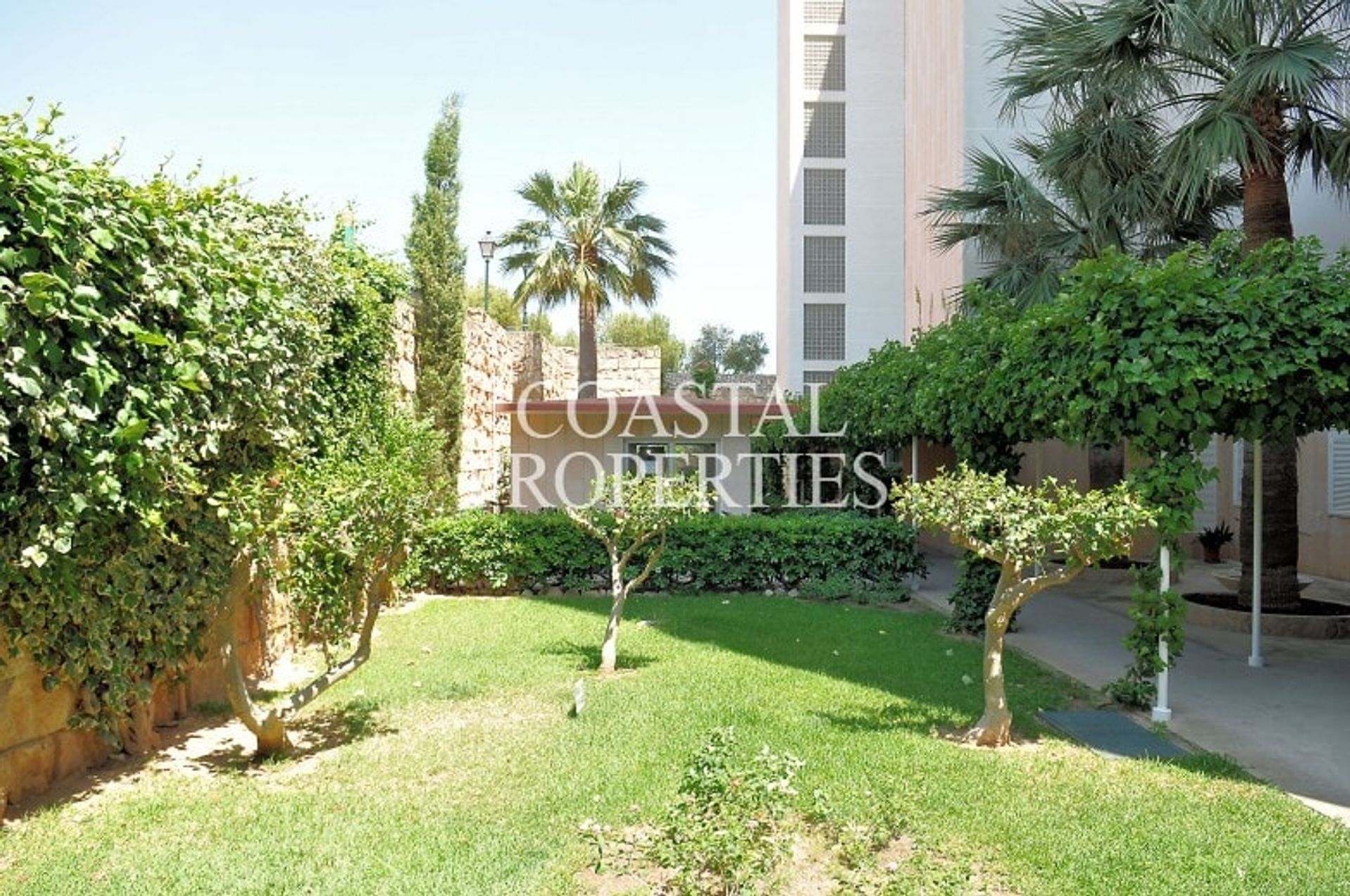 Condominium in Palma Nova, Balearic Islands 10872974