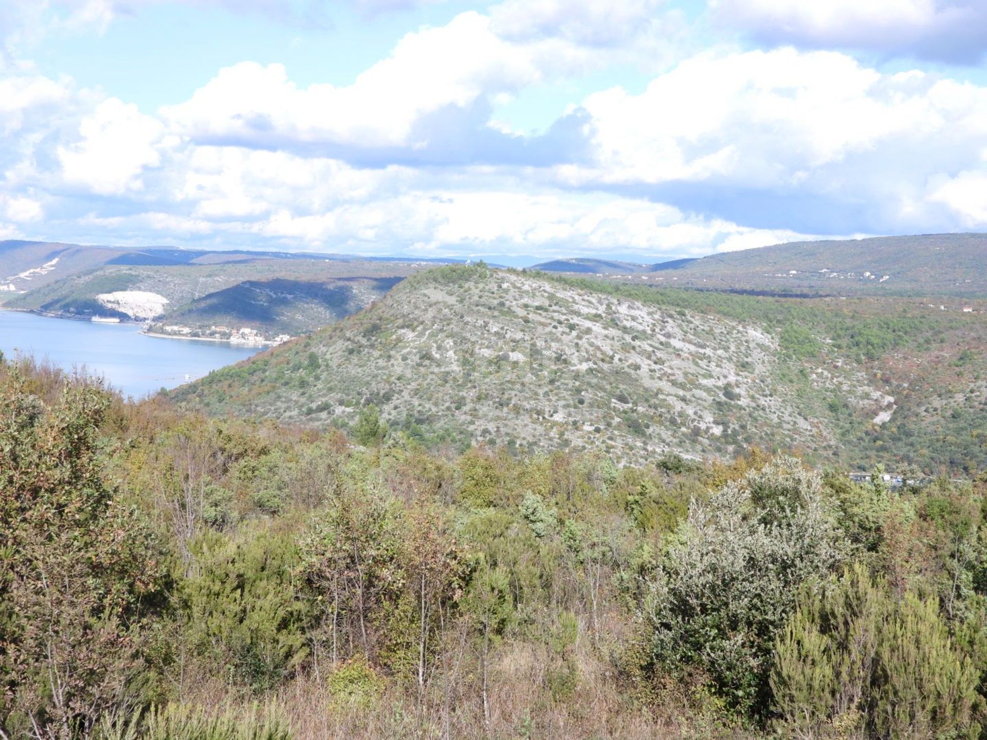 Land in Marcana, Istarska Zupanija 10873245