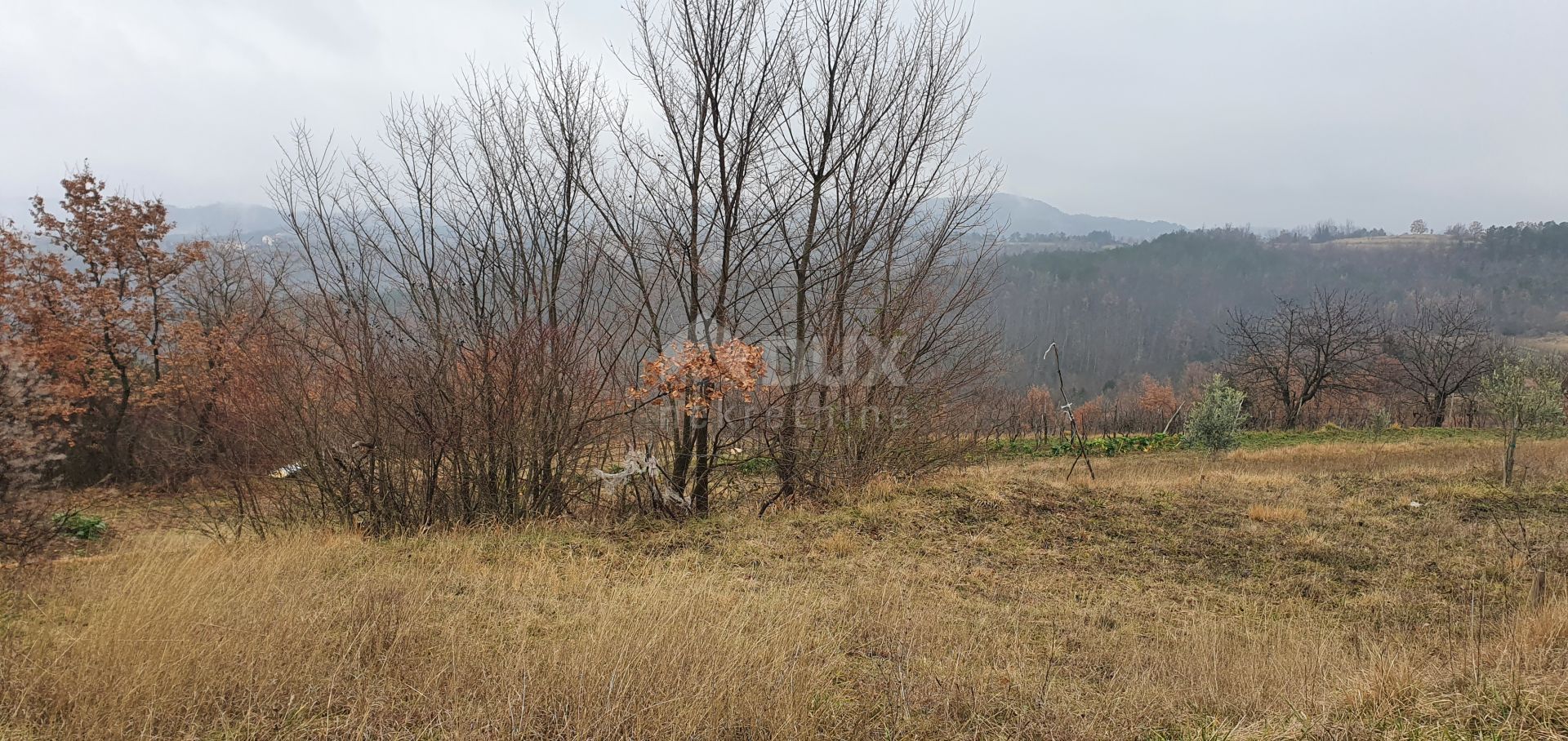 Tierra en Klarici, Istarska Županija 10873274