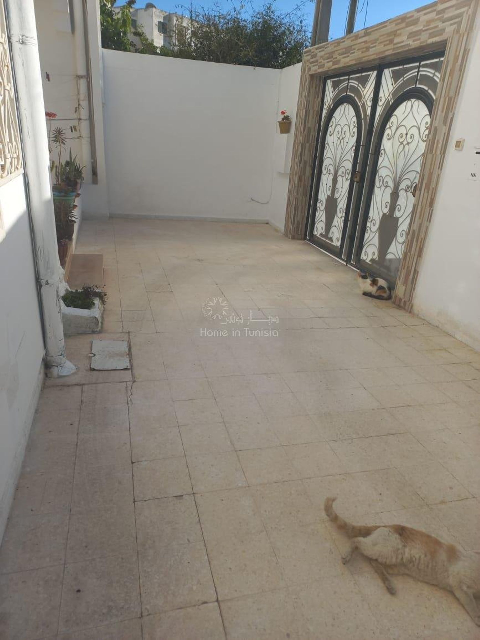 Condominium dans Tunisie, Tunisie 10873333