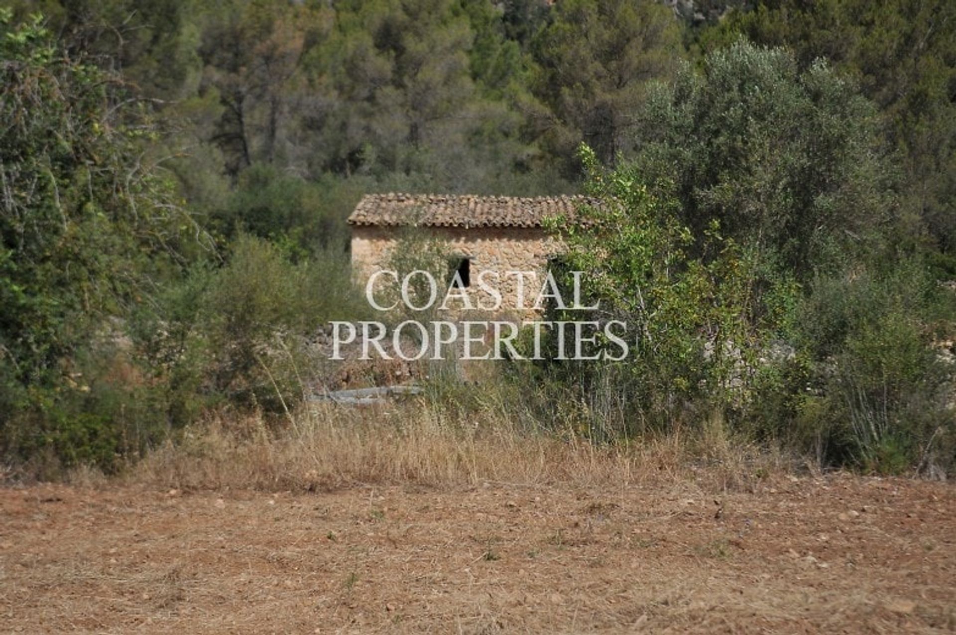 بيت في Es Capdellà, Balearic Islands 10873408