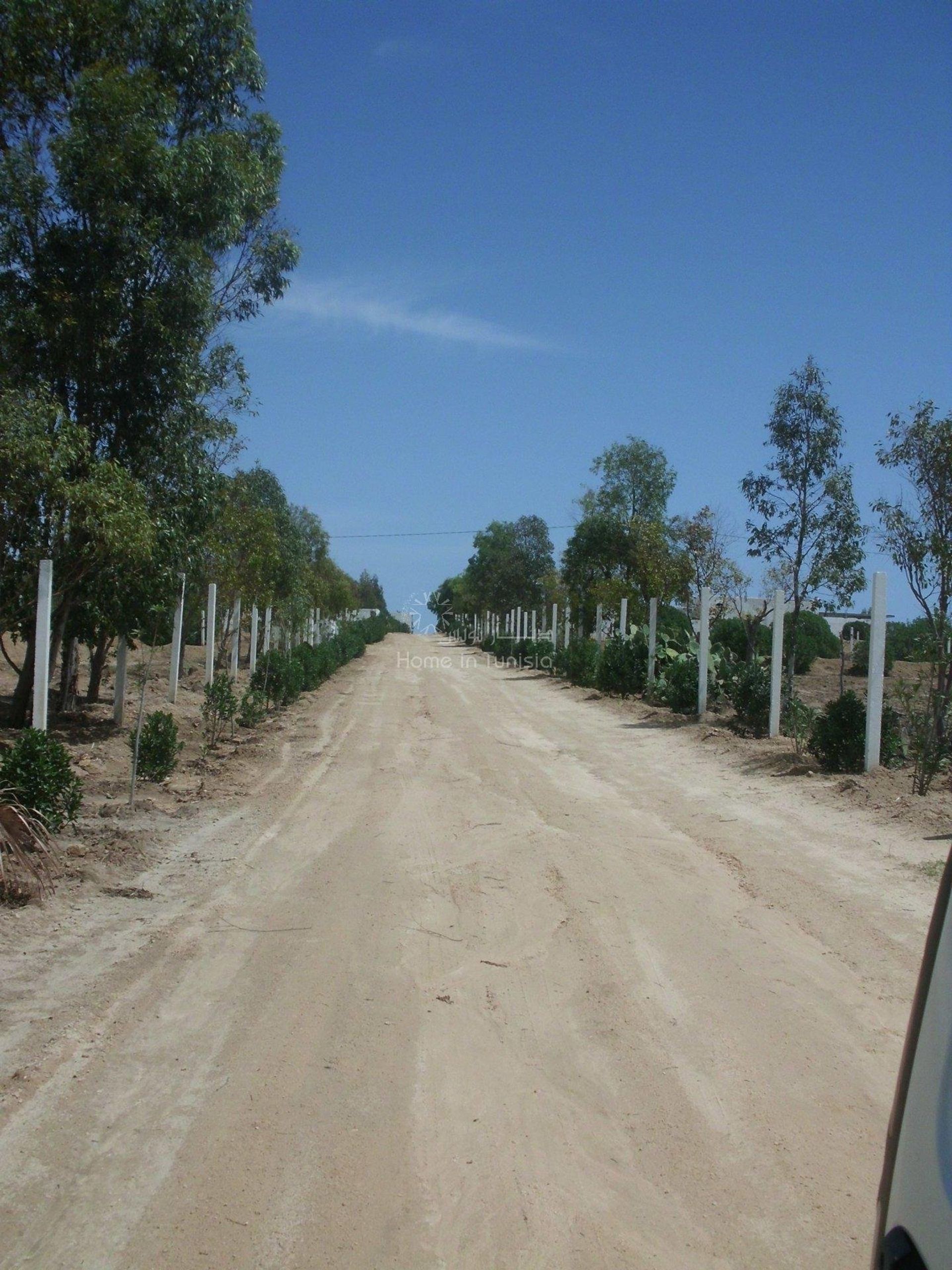 Autre dans El Hamma, Gabès 10873477