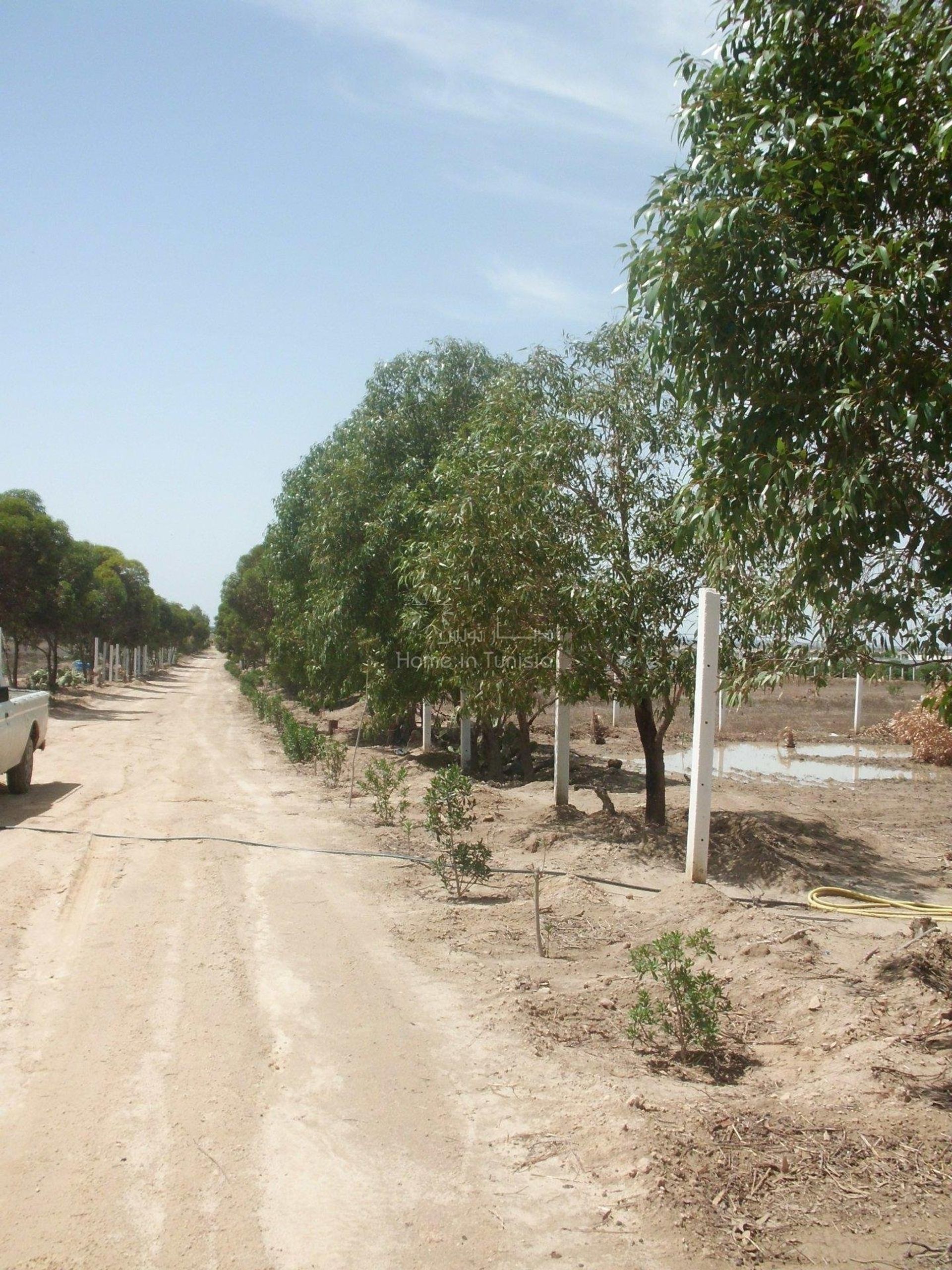 Autre dans El Hamma, Gabès 10873477