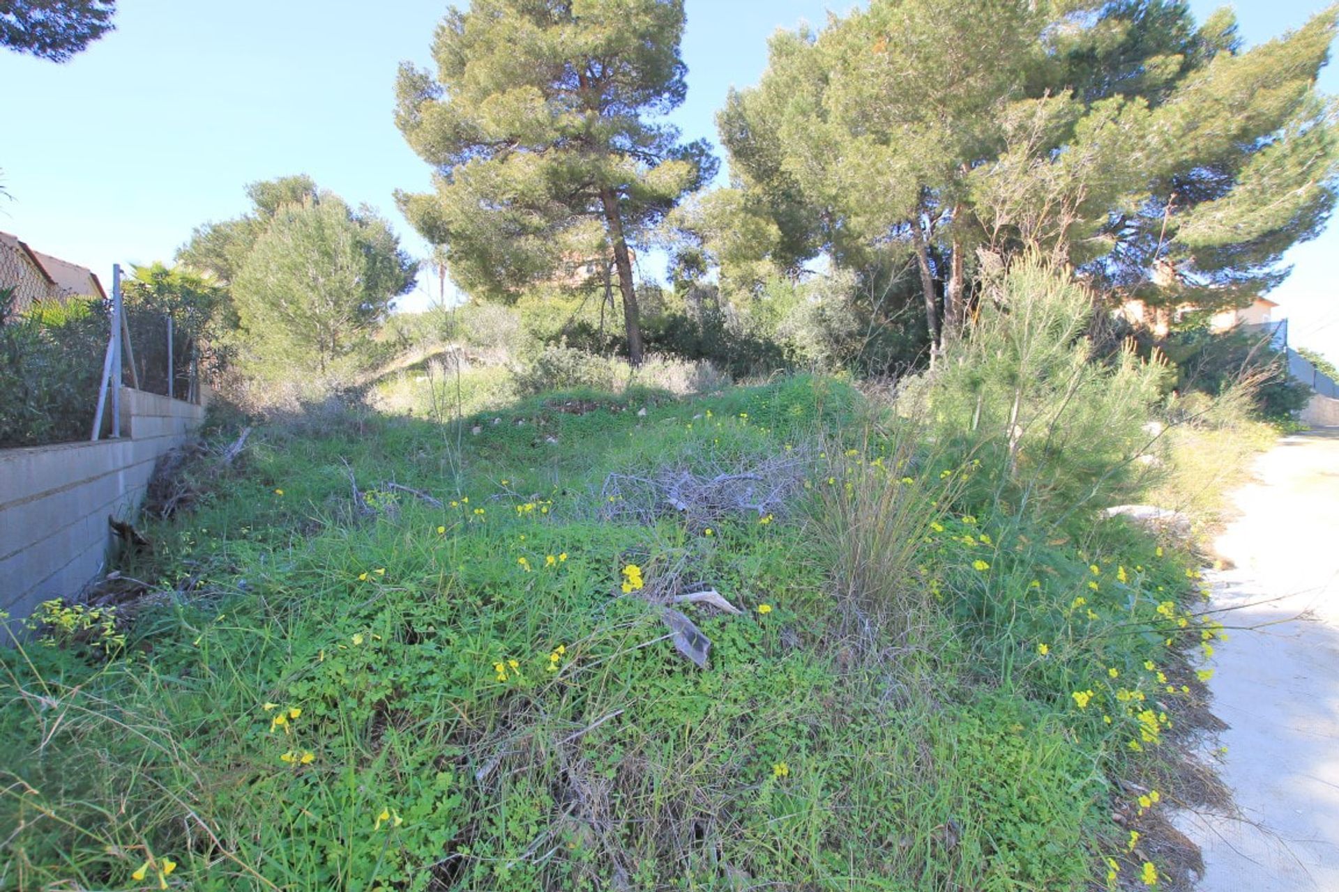 Tanah di Jávea, Comunidad Valenciana 10873630