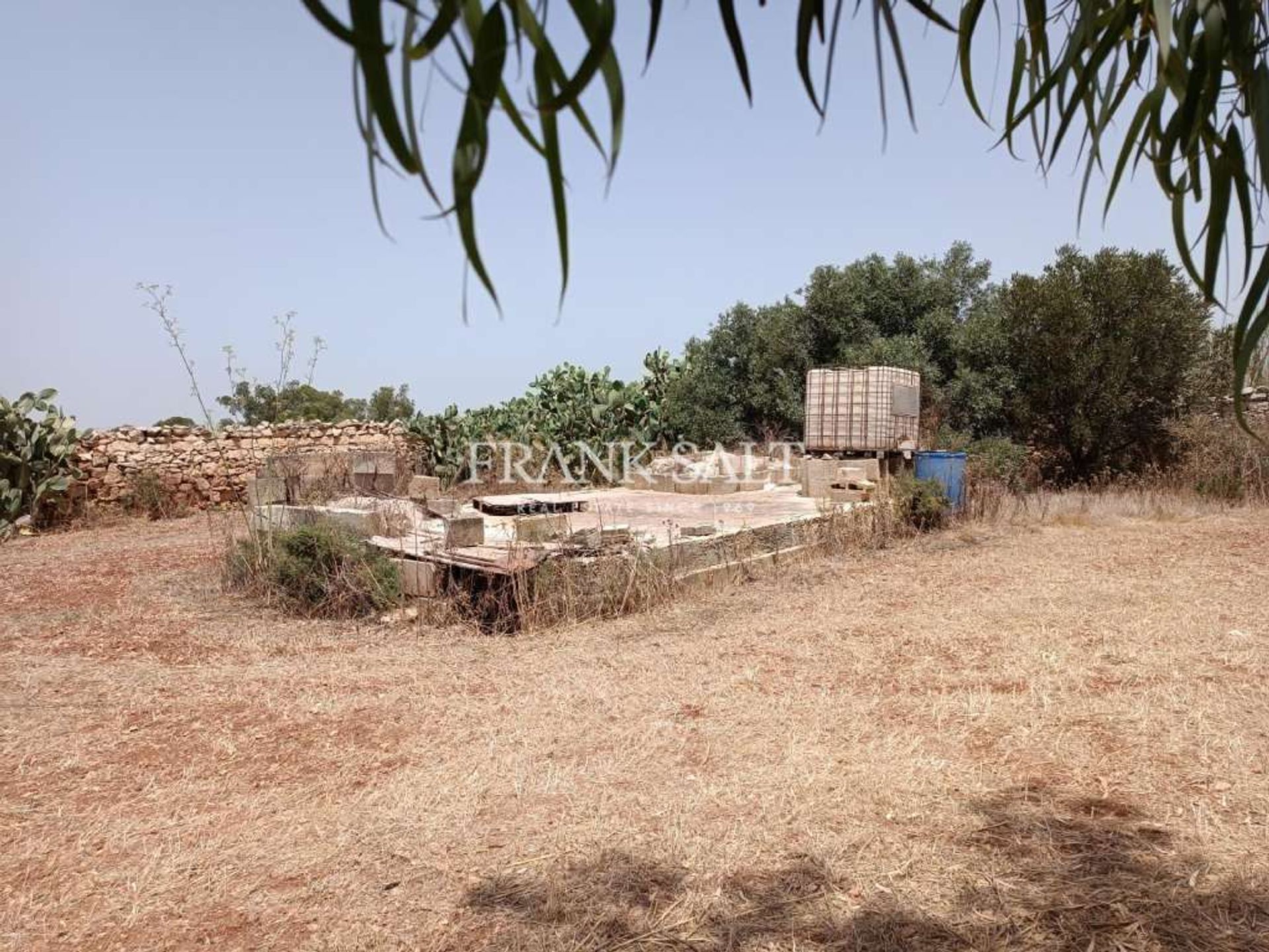 Other in Tal-Liebru, Safi 10873804