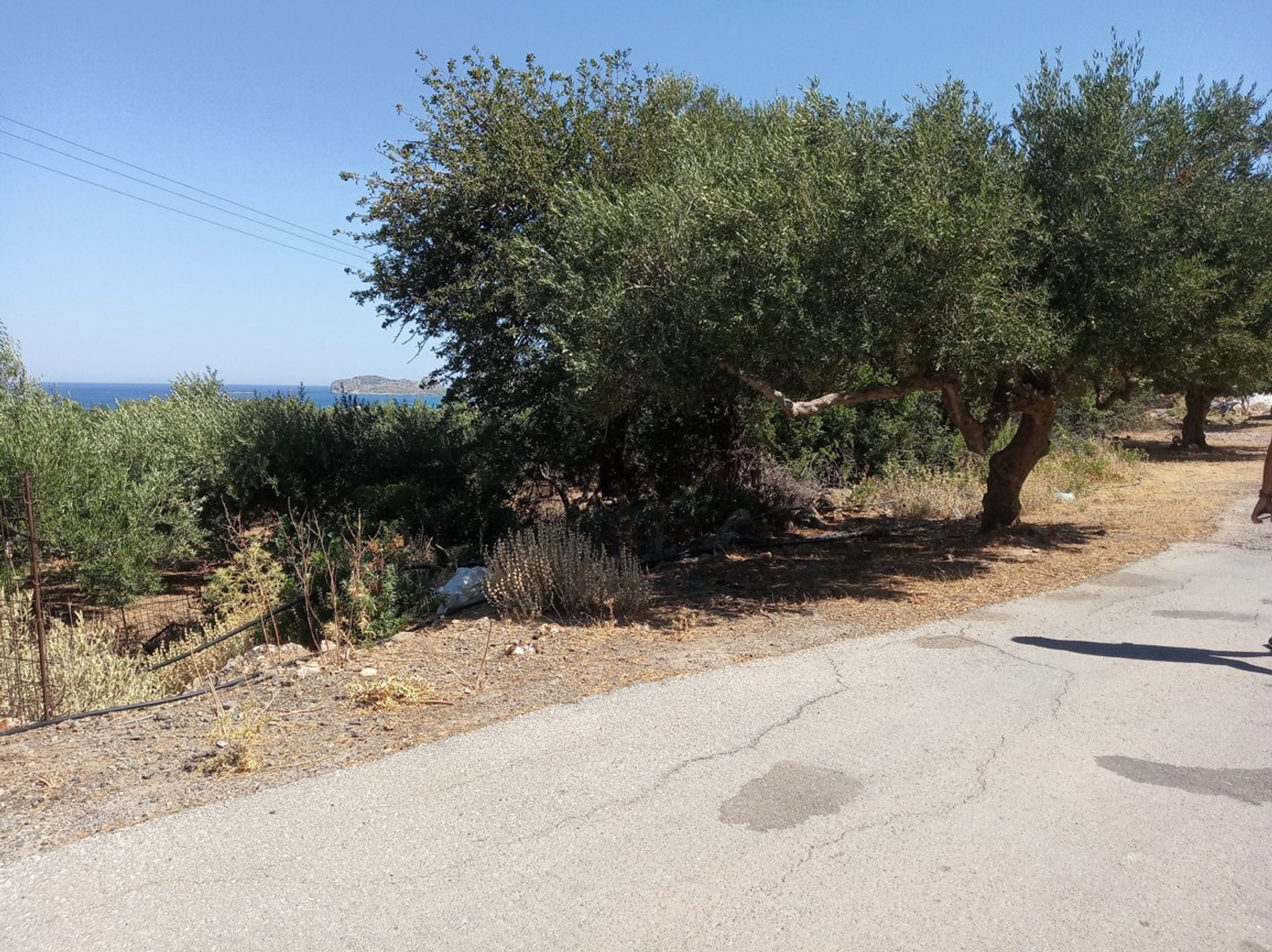 Land in Kissamos, Kriti 10874053