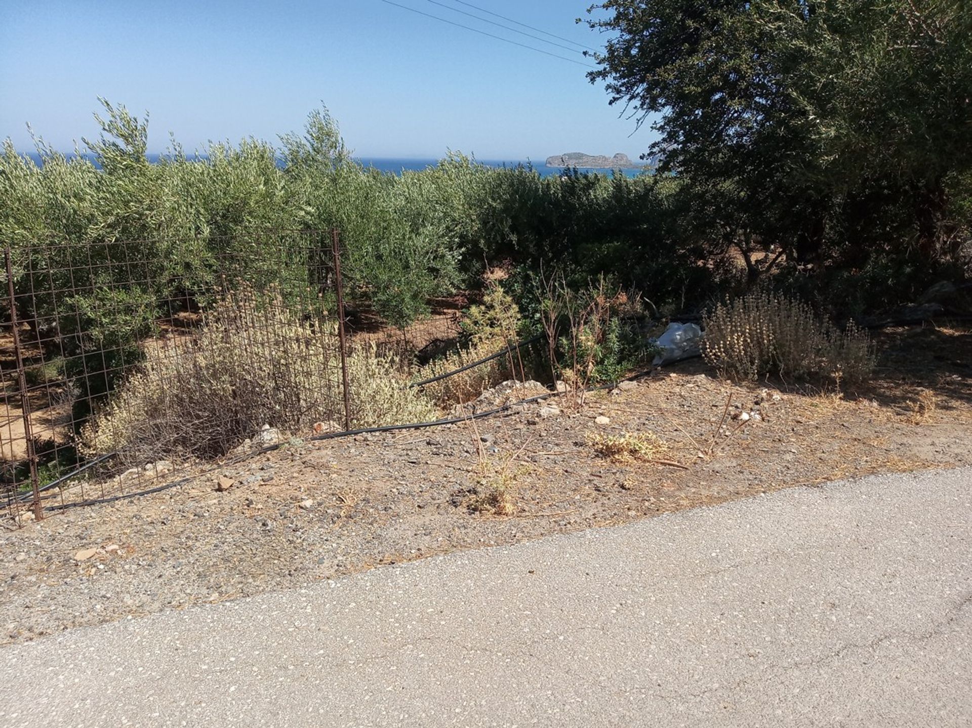 Land in Kissamos, Kriti 10874053