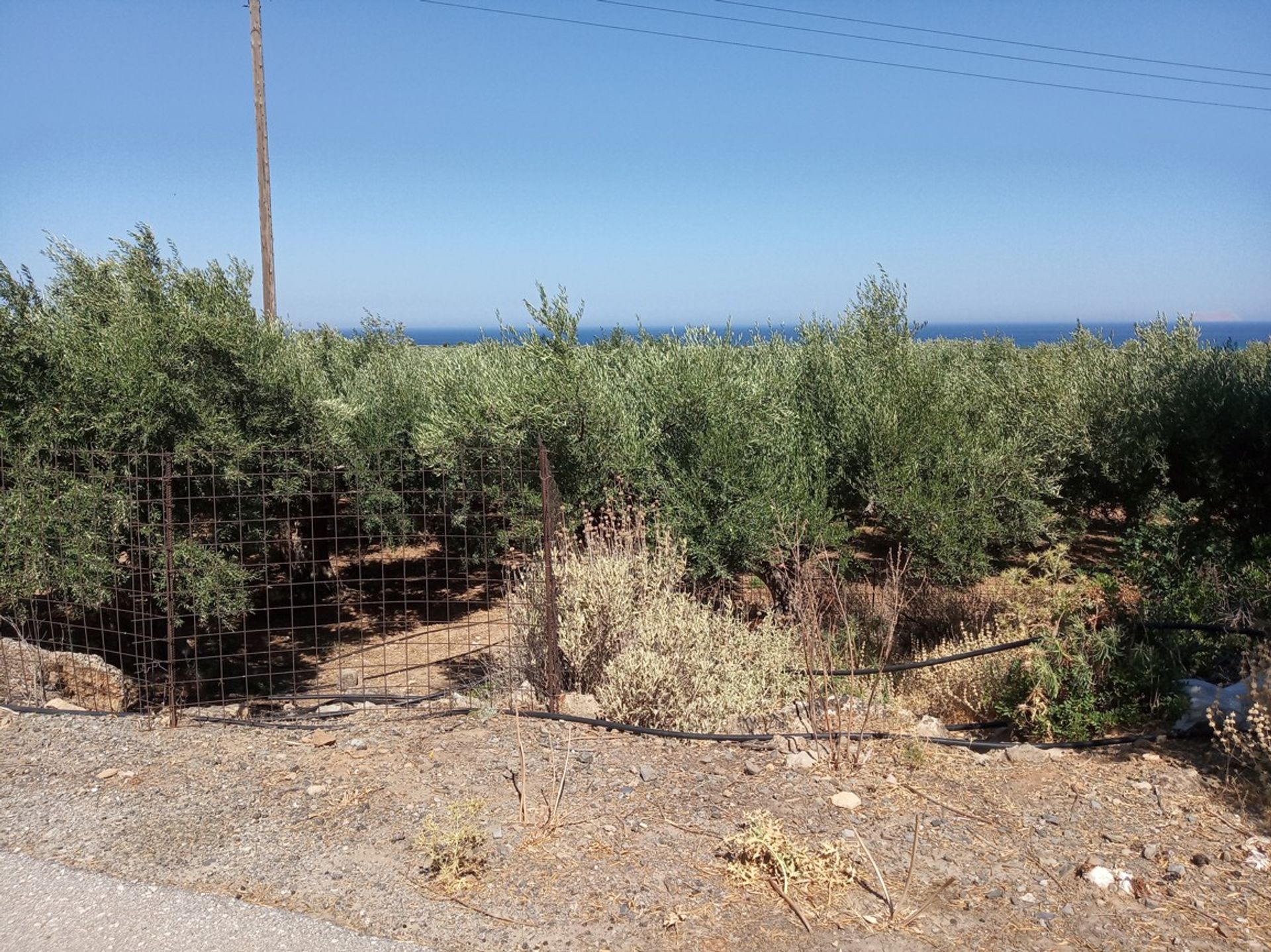 Land in Kissamos, Kriti 10874053