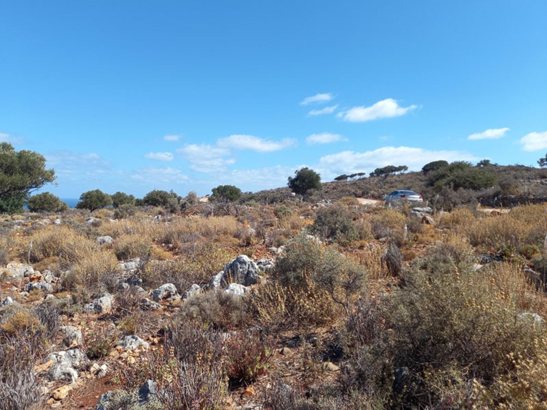 Terre dans Kokkino Chorio,  10874744