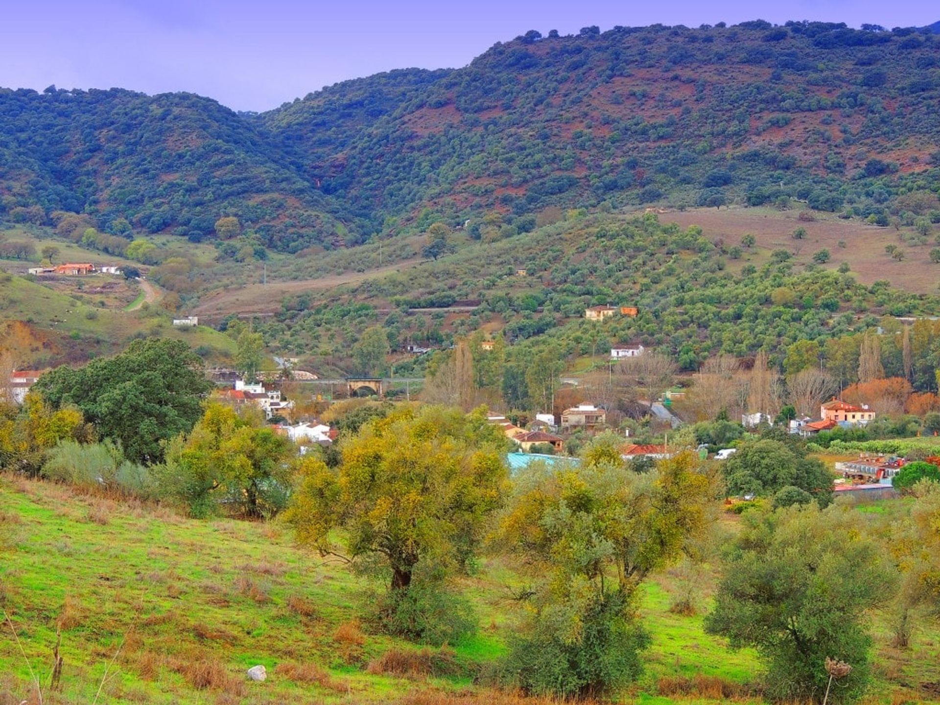 Rumah di Cortes de la Frontera, Andalusia 10875200