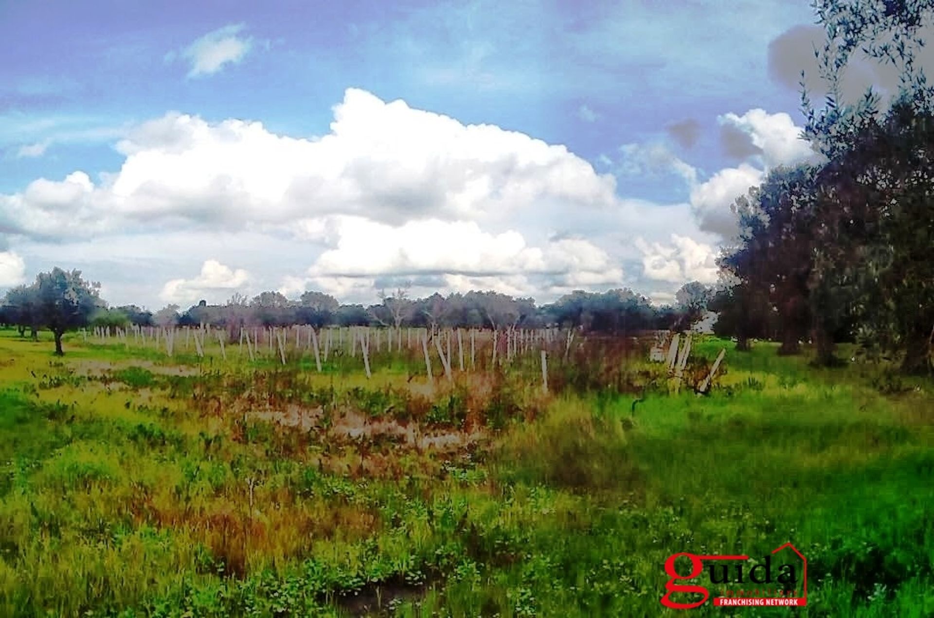 Land i Matino, Puglia 10875647