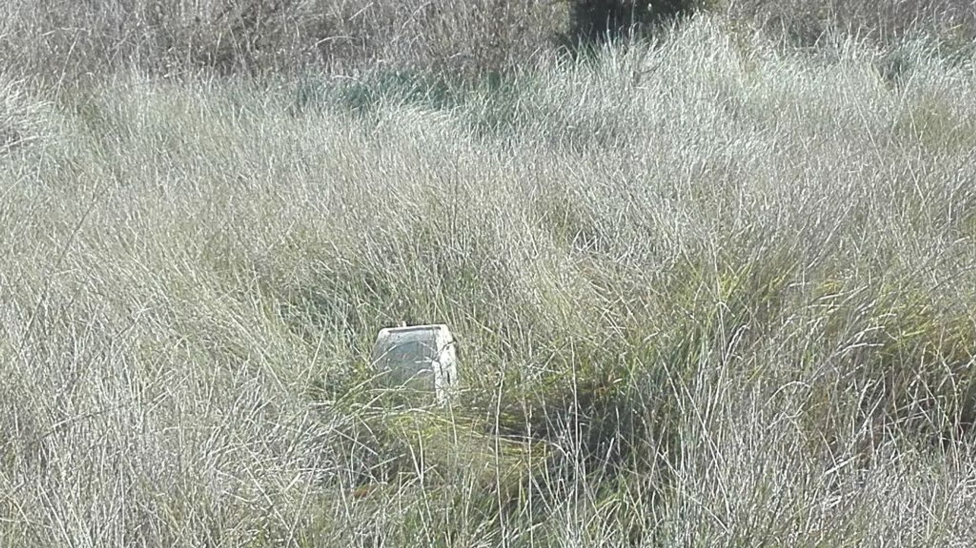 Terre dans La Font d'en Carròs, Comunidad Valenciana 10875794