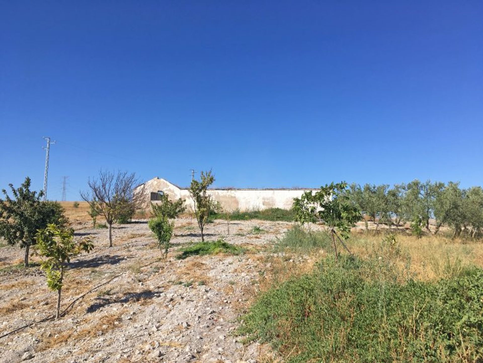 House in Morón de la Frontera, Andalusia 10876098