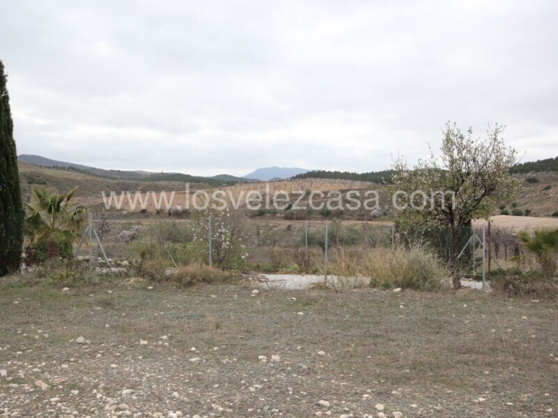 Land i Murcia, Region of Murcia 10876987