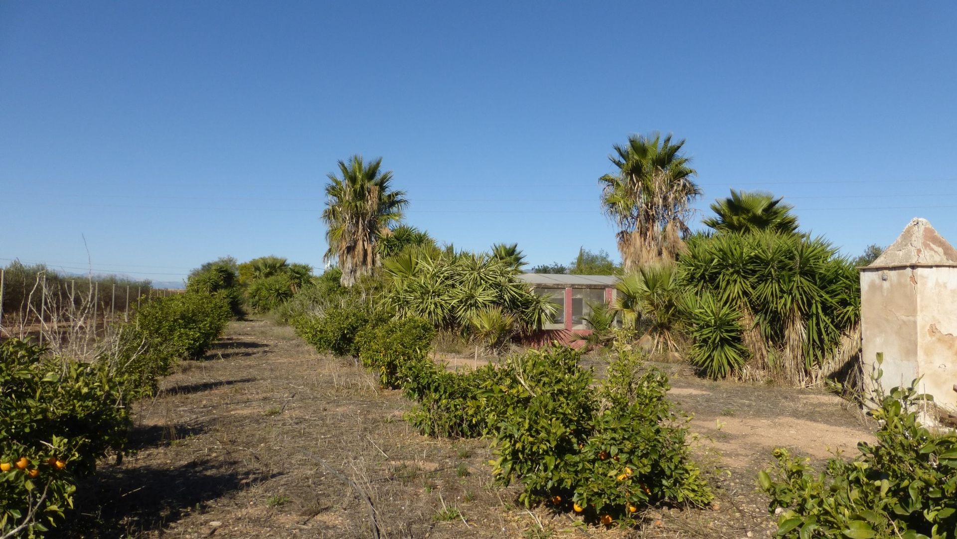 жилой дом в La Pinilla, Región de Murcia 10877834