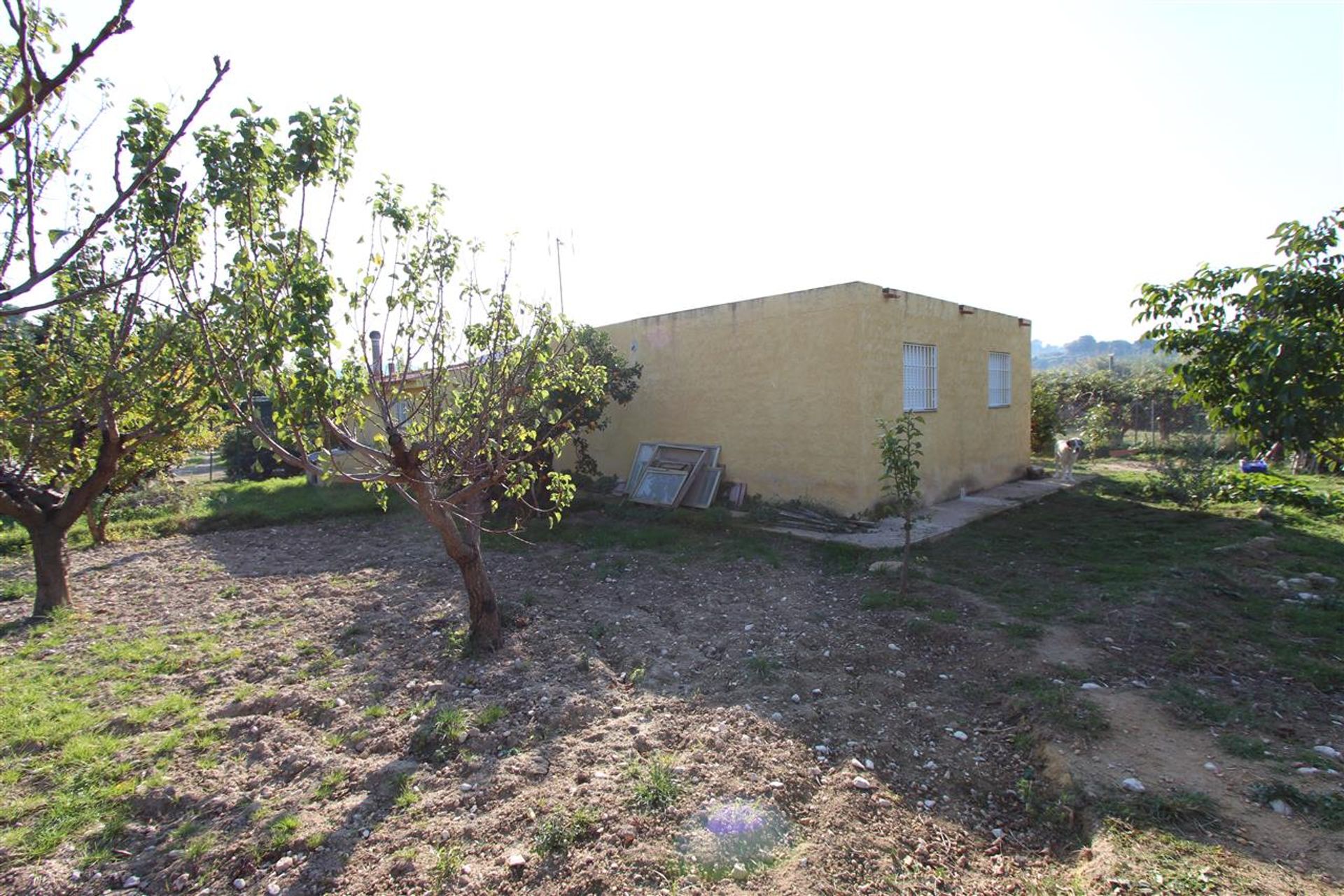 rumah dalam , Valencian Community 10878059