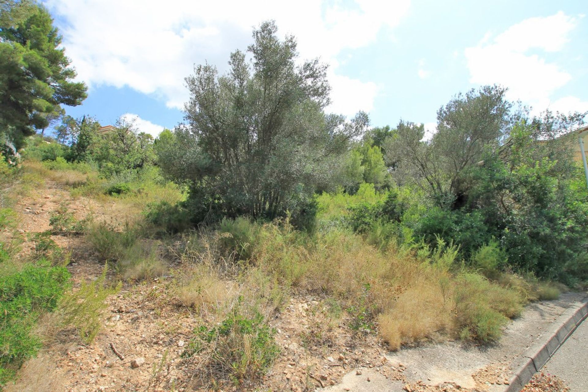 Tanah dalam Jávea, Comunidad Valenciana 10878209