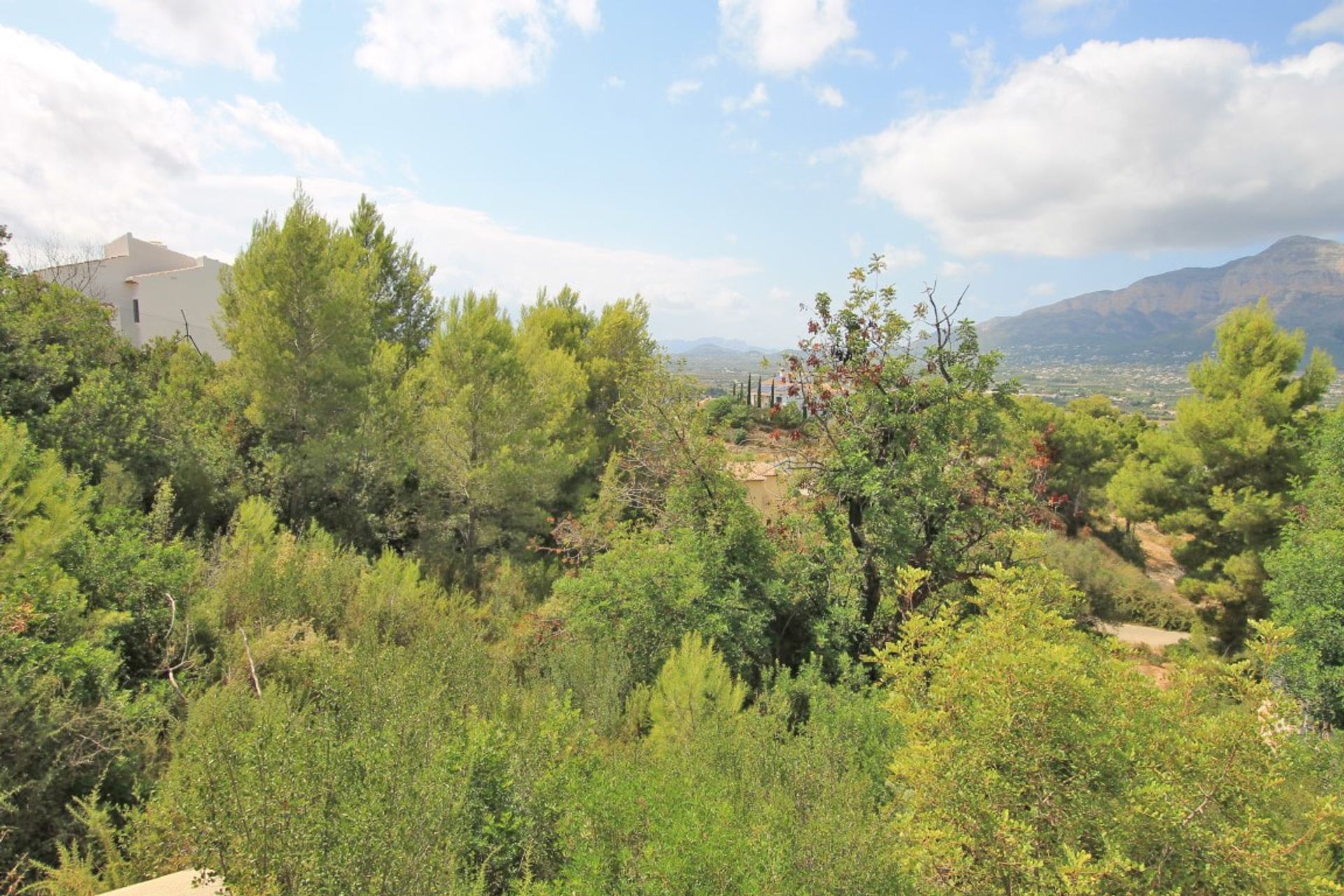 Tanah dalam Jávea, Comunidad Valenciana 10878209