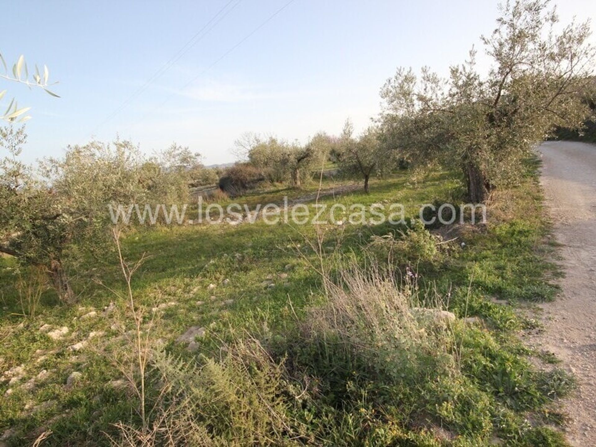 Land in Velez Blanco, Andalusië 10878325